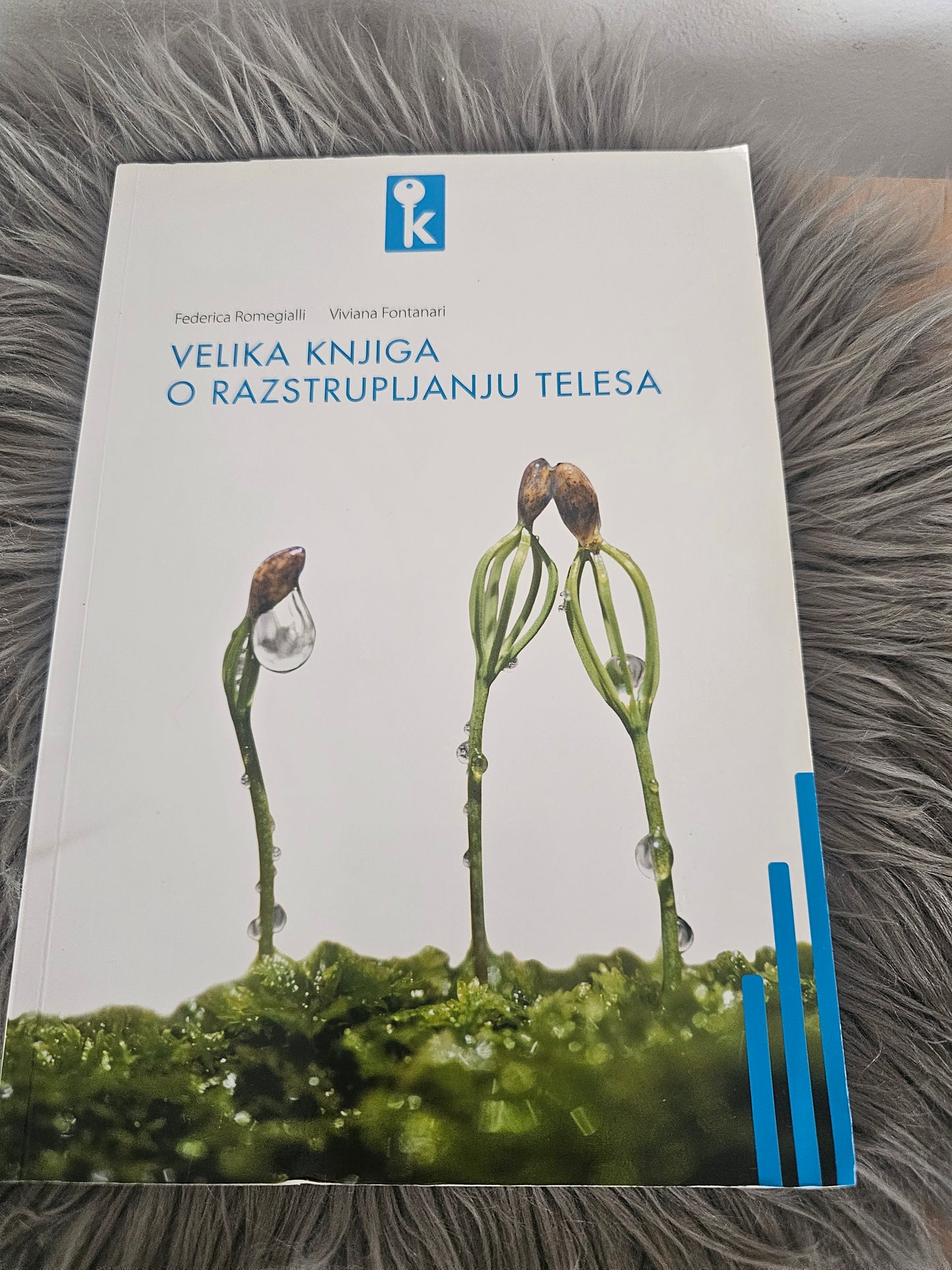Velika knjiga o razstrupljanju Federica Romegialli Viviana Fontanari