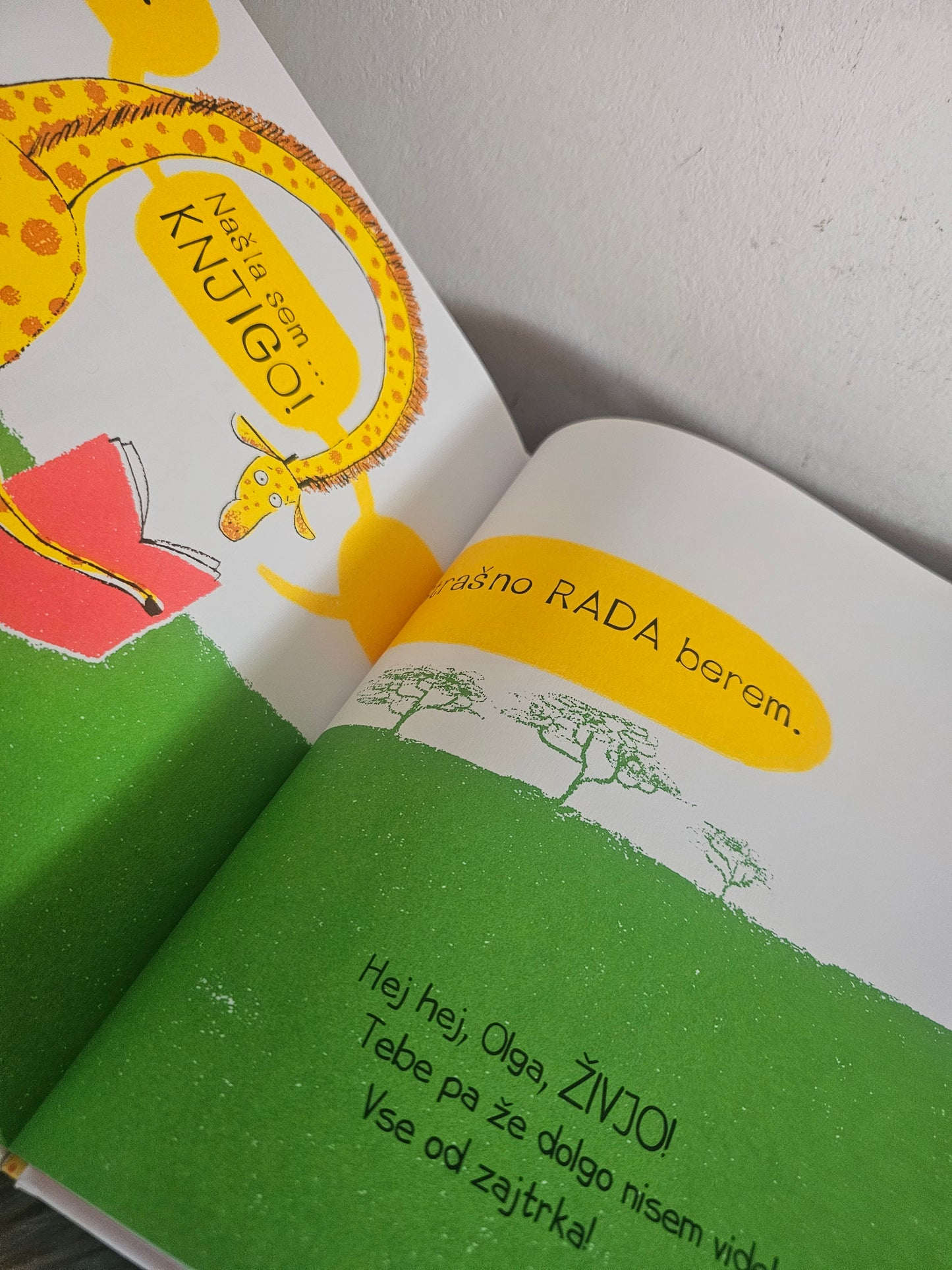 Tace stran od moje knjige Fabi Santiago