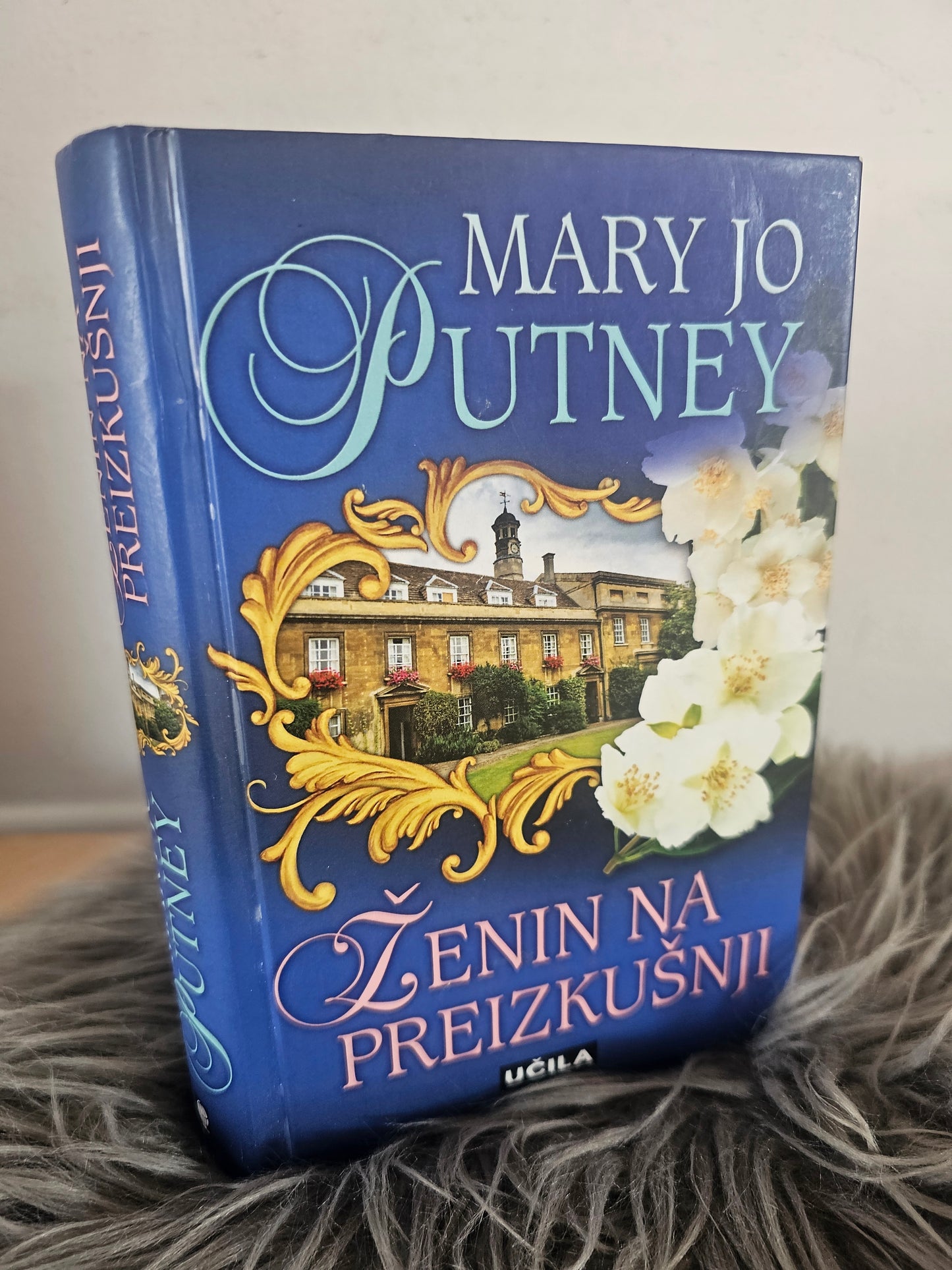 Ženin na preizkušnji, Mary Jo Putney
