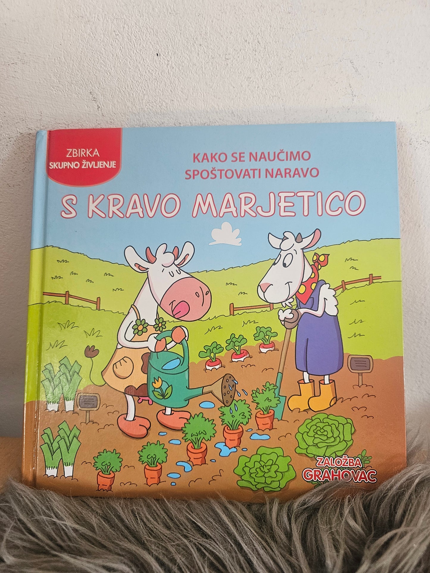 Zbirka skupno življenje Založba Grahovac
