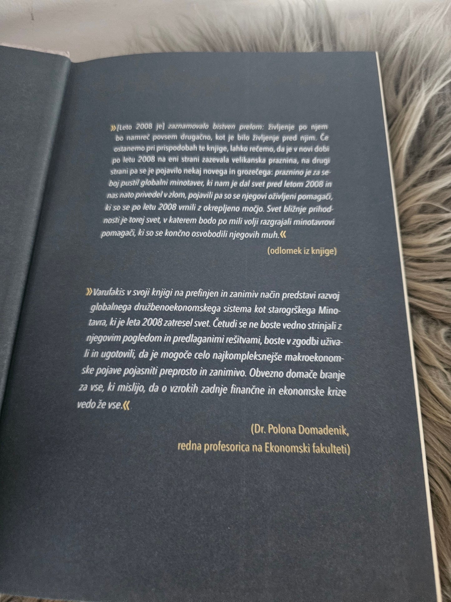 Globalni minotaver, Janis Varufakis