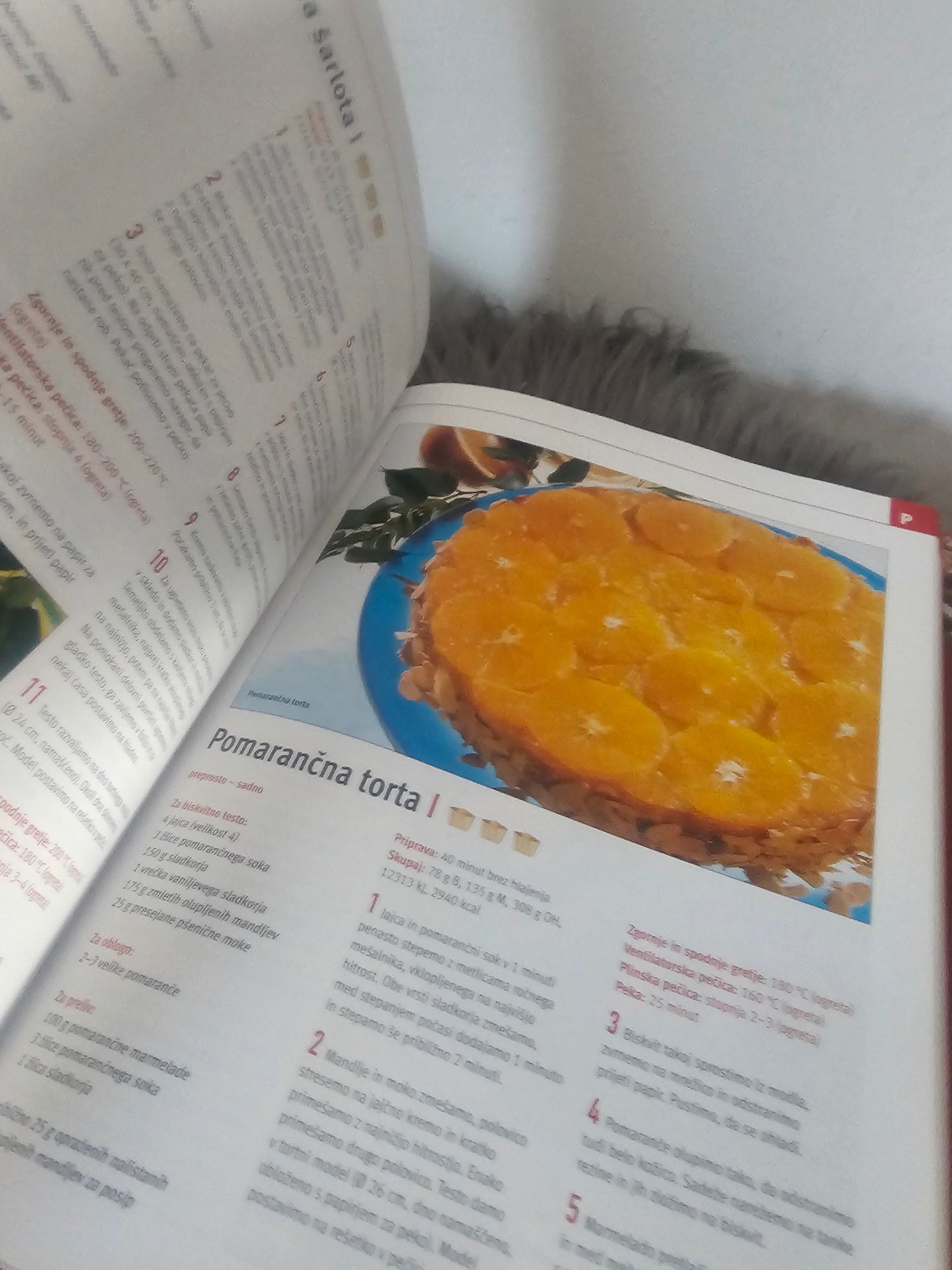 Vse o peki Dr.Oetker Mladinska knjiga