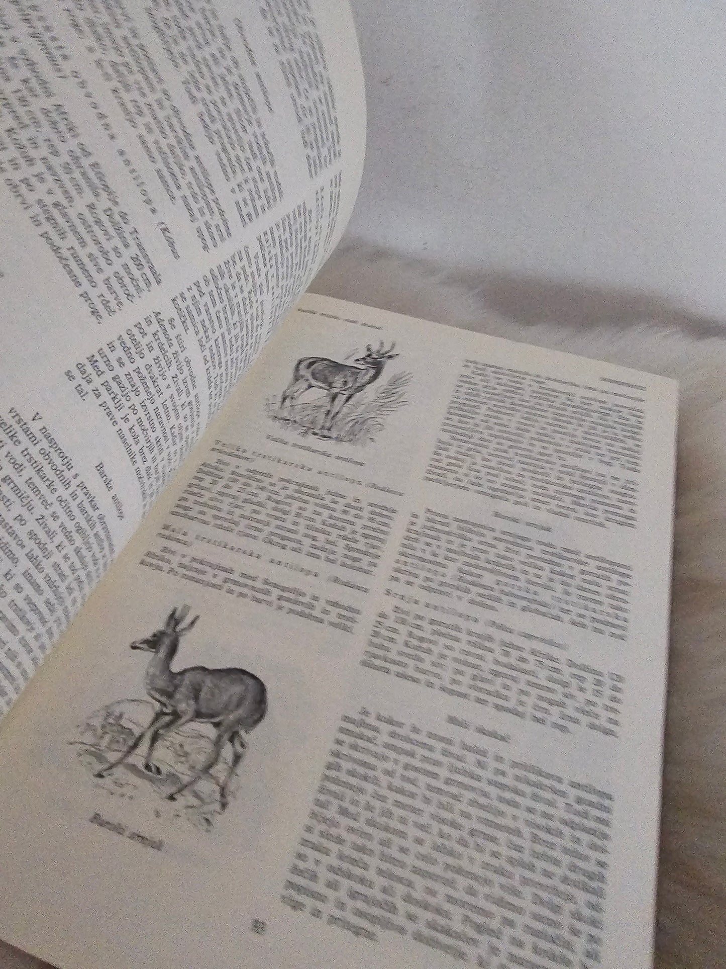 Živalski svet Hans Wilhelm Smolik