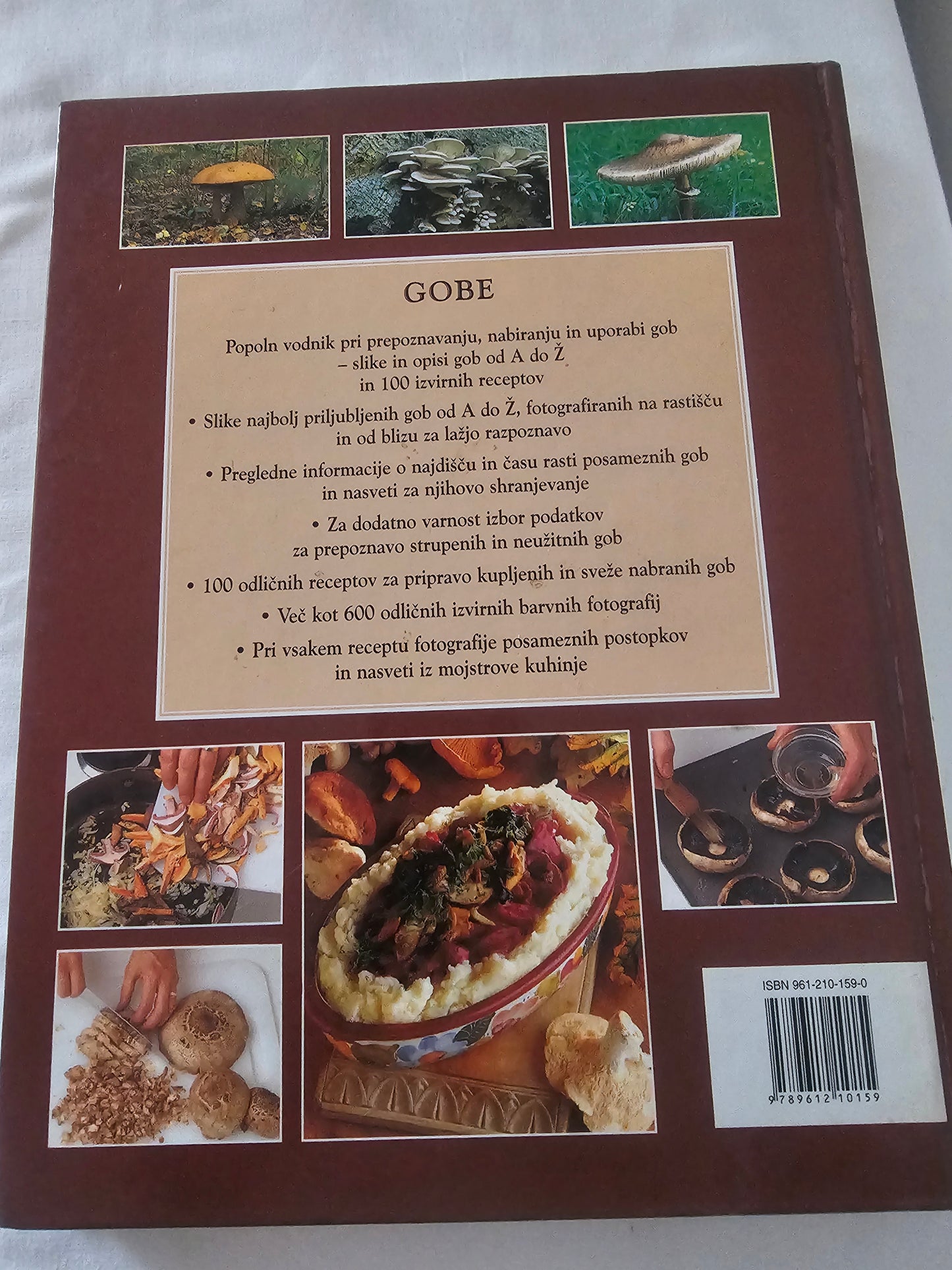 Gobe Vodnik po svetu gob Peter Jordan in Steven Wheeler