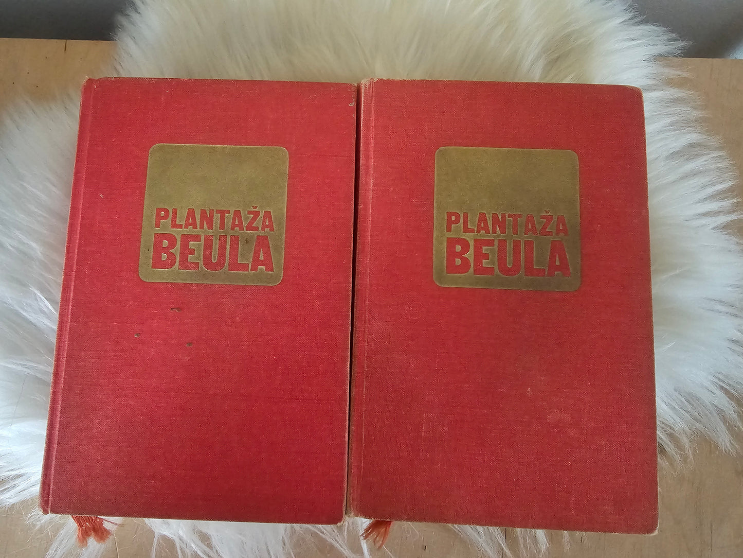 Plantaža Beula Lonnie Coleman