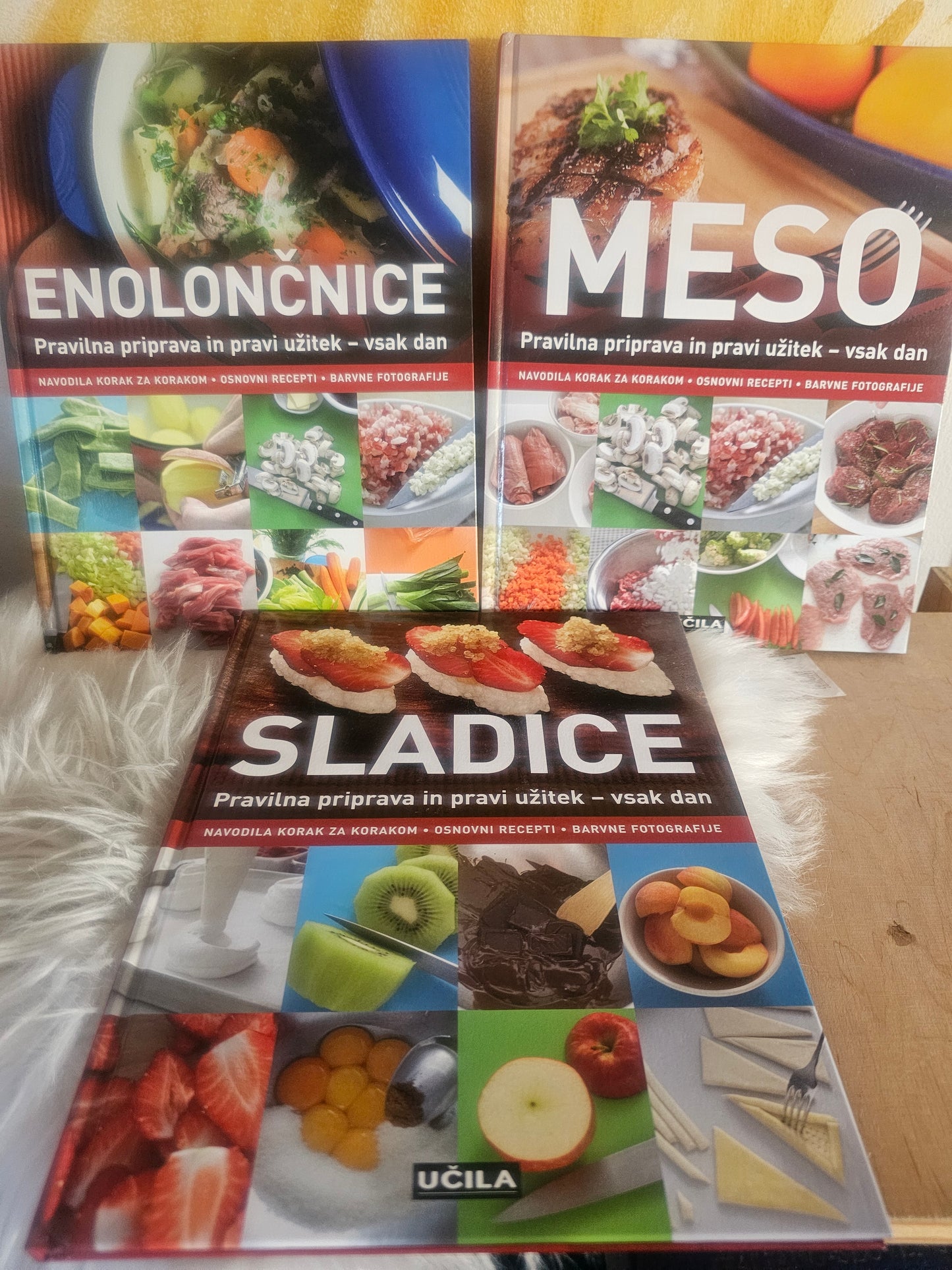 Meso, enolončnice, zelenjava, ribe, solata, sladice Učila
