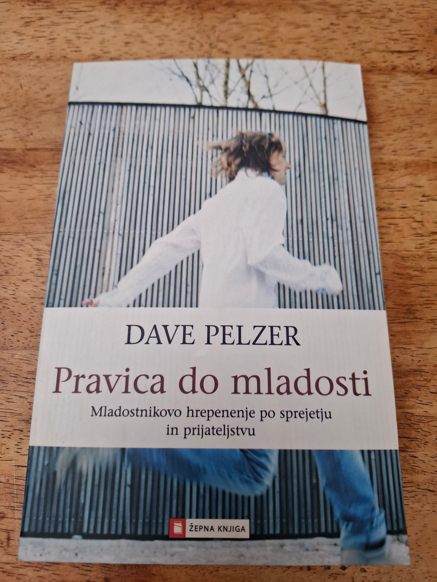 Pravica do mladosti, Dave Pelzer