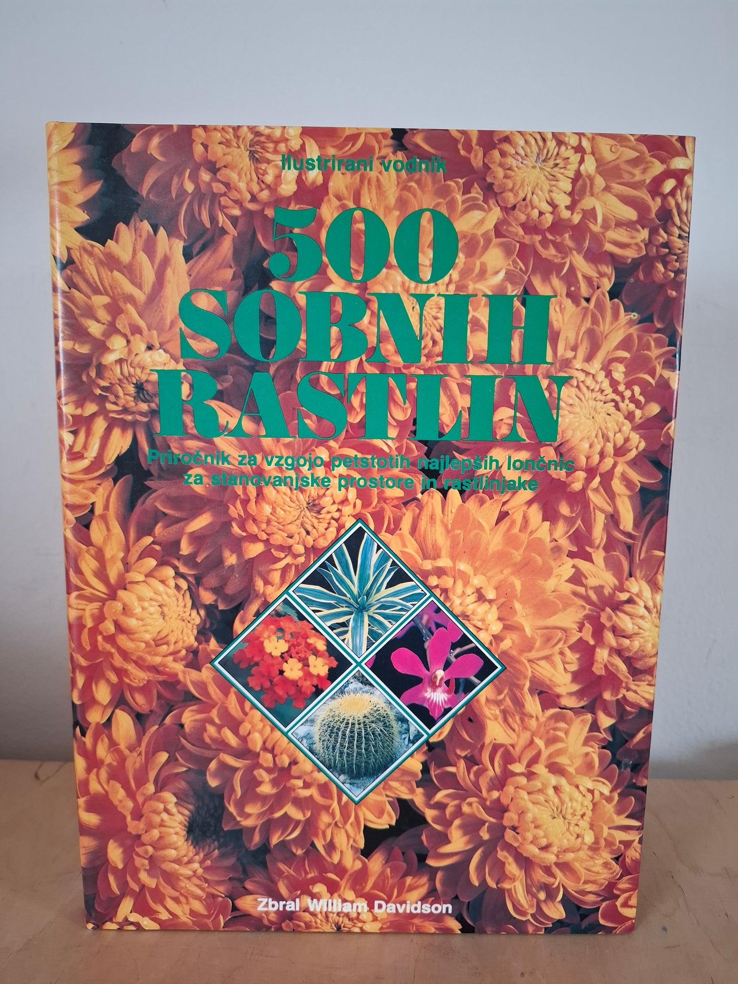 500 sobnih rastlin William Davidson