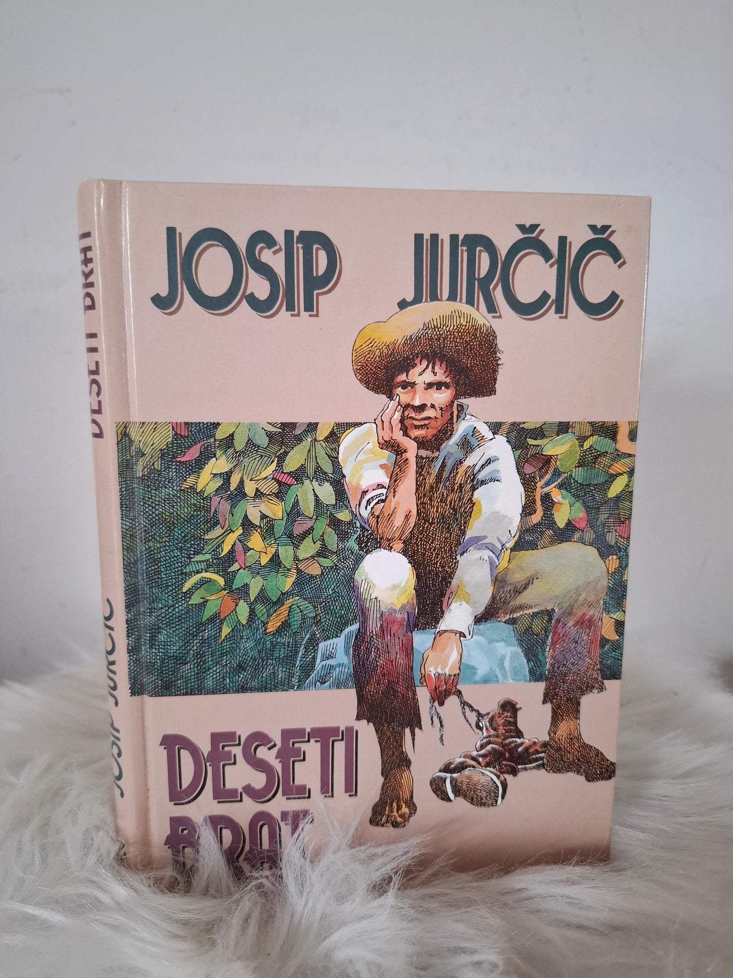 Deseti brat Josip Jurčič