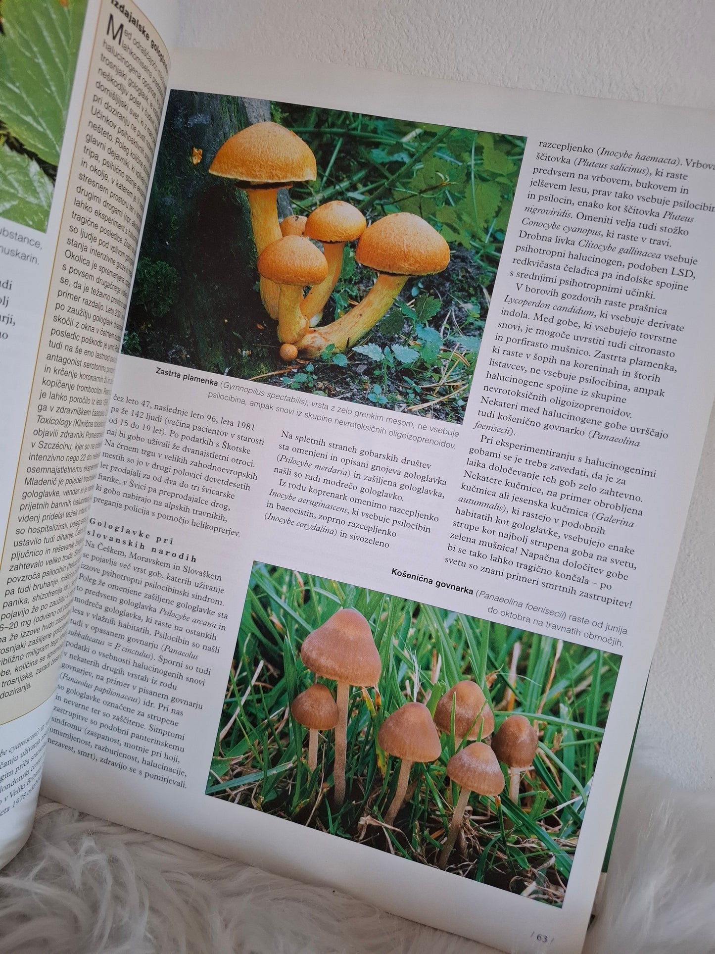 Gobe, ilustrirana enciklopedija Readers Digest