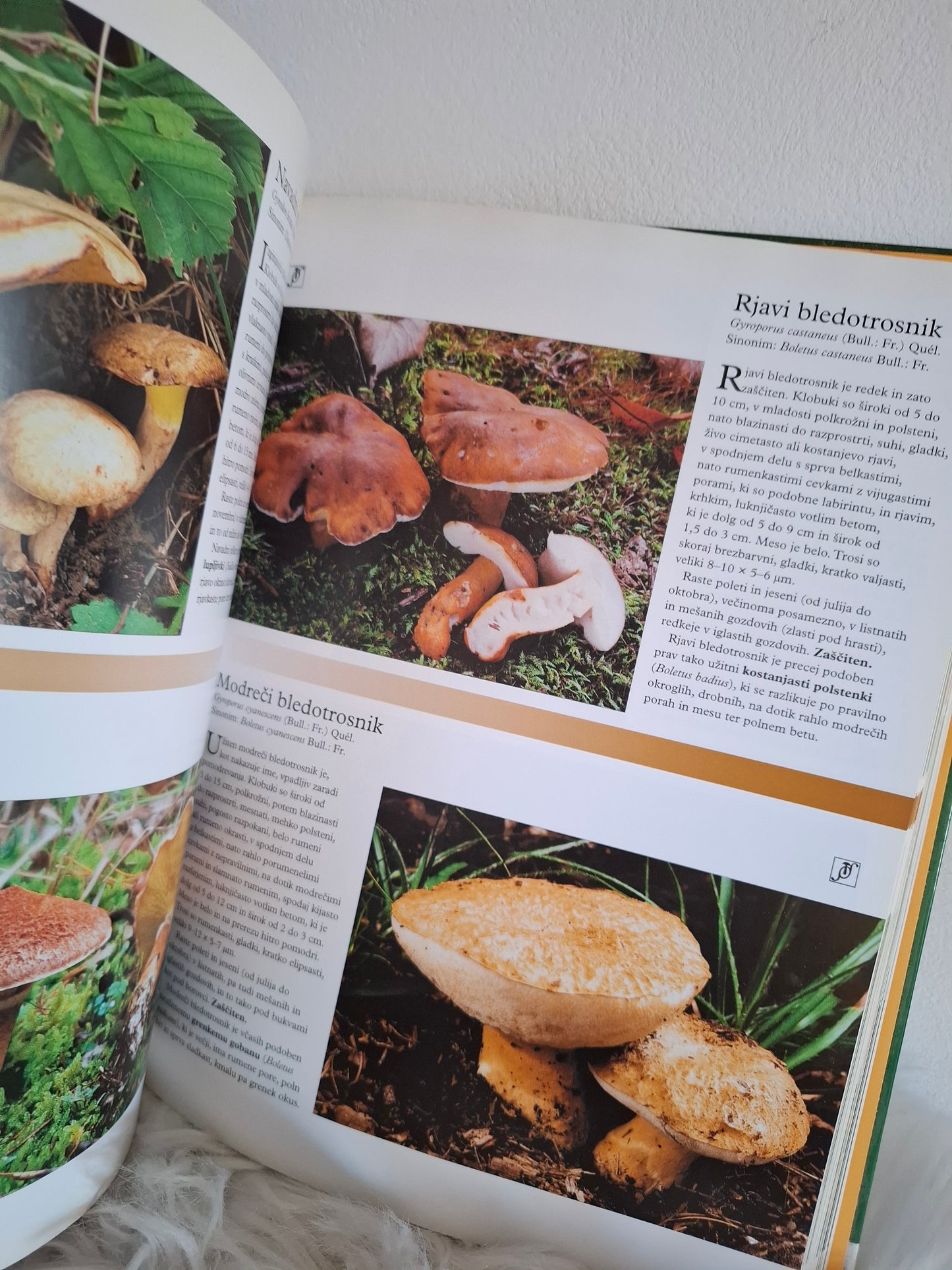Gobe, ilustrirana enciklopedija Readers Digest