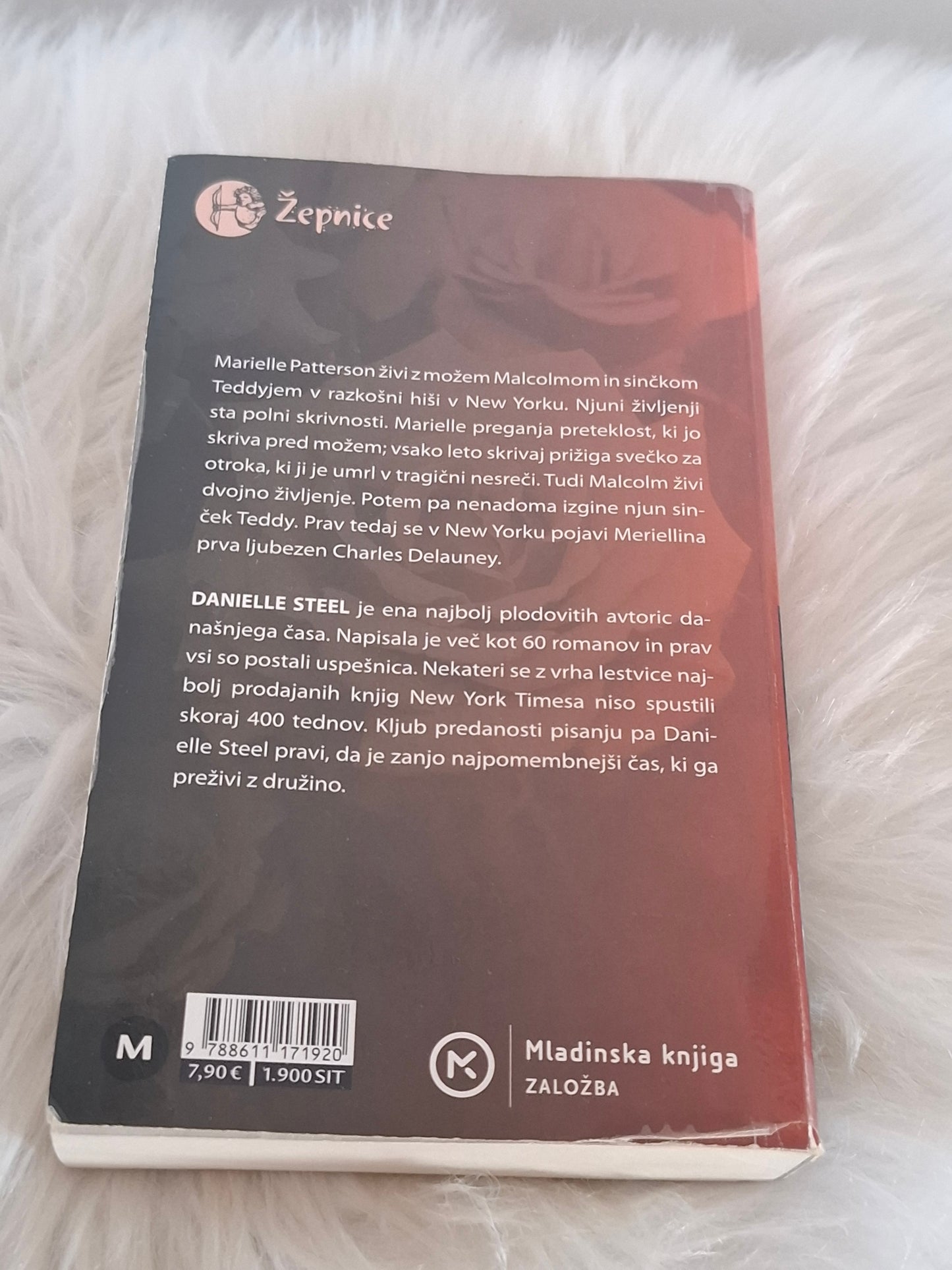 Izginil je Danielle Steel