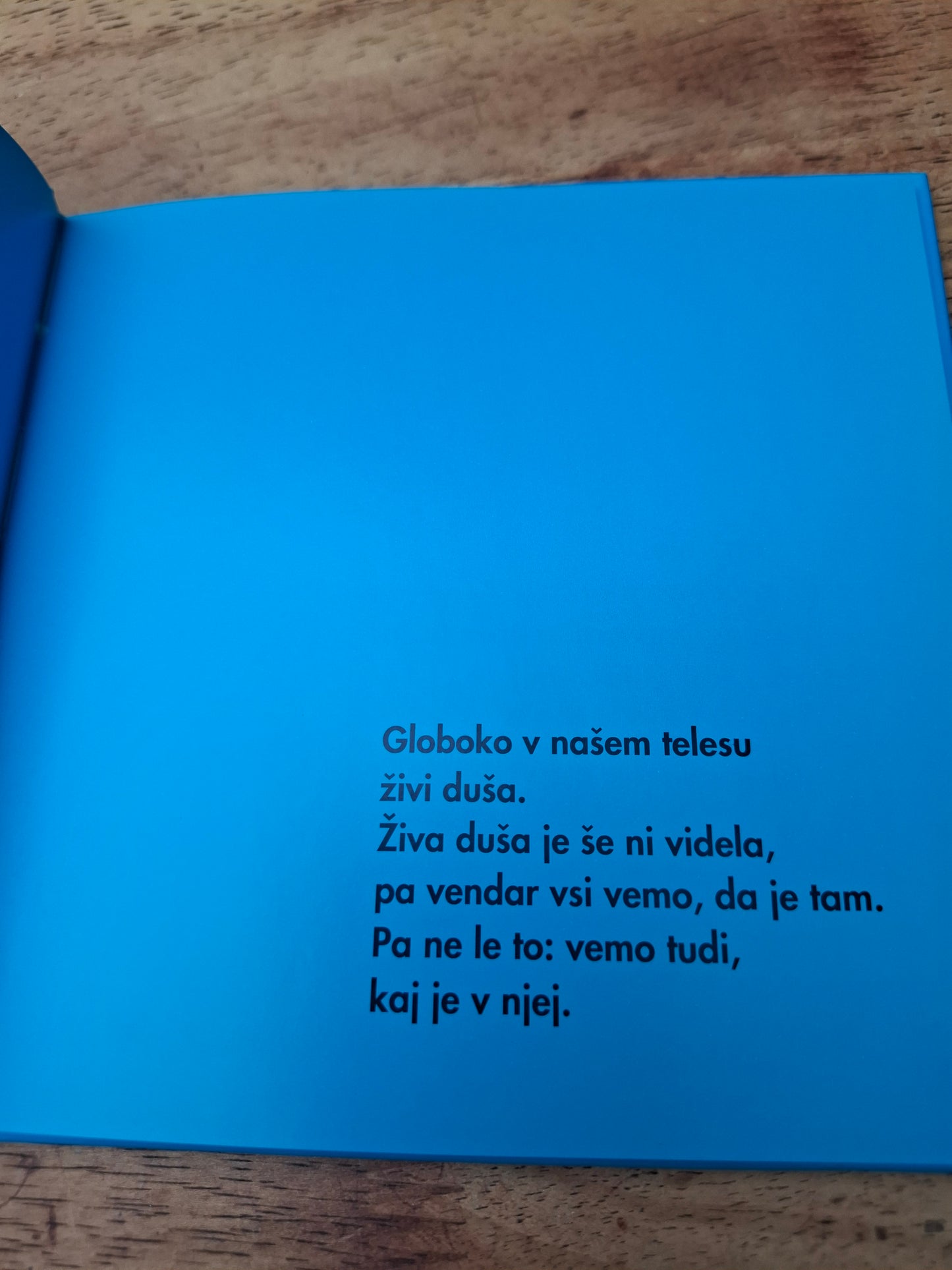 Ptica v duši, Michal Snunit
