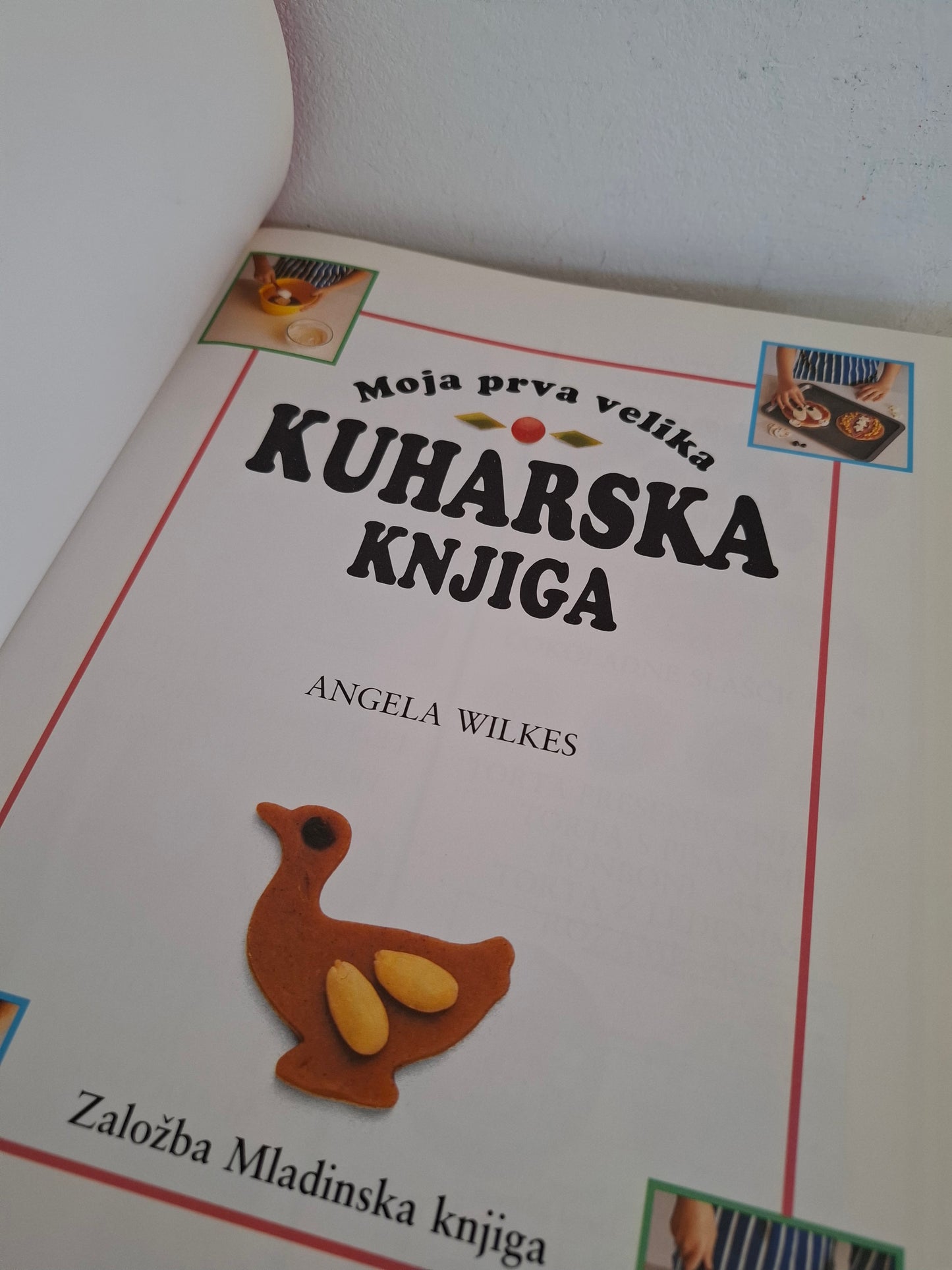Moja prva velika kuharska knjiga Mladinska knjiga