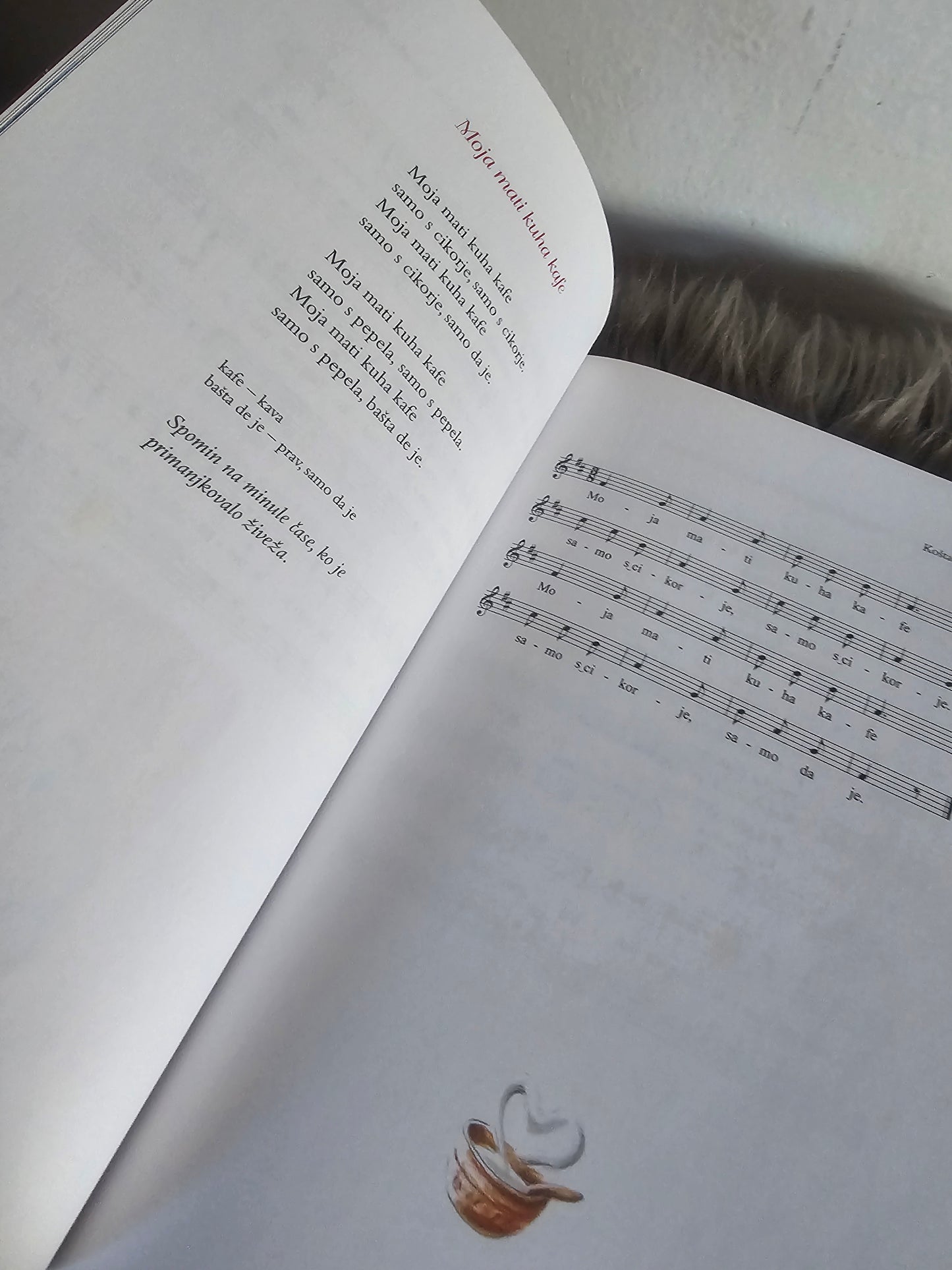 Družiinska pesmarica Mladinska knjiga