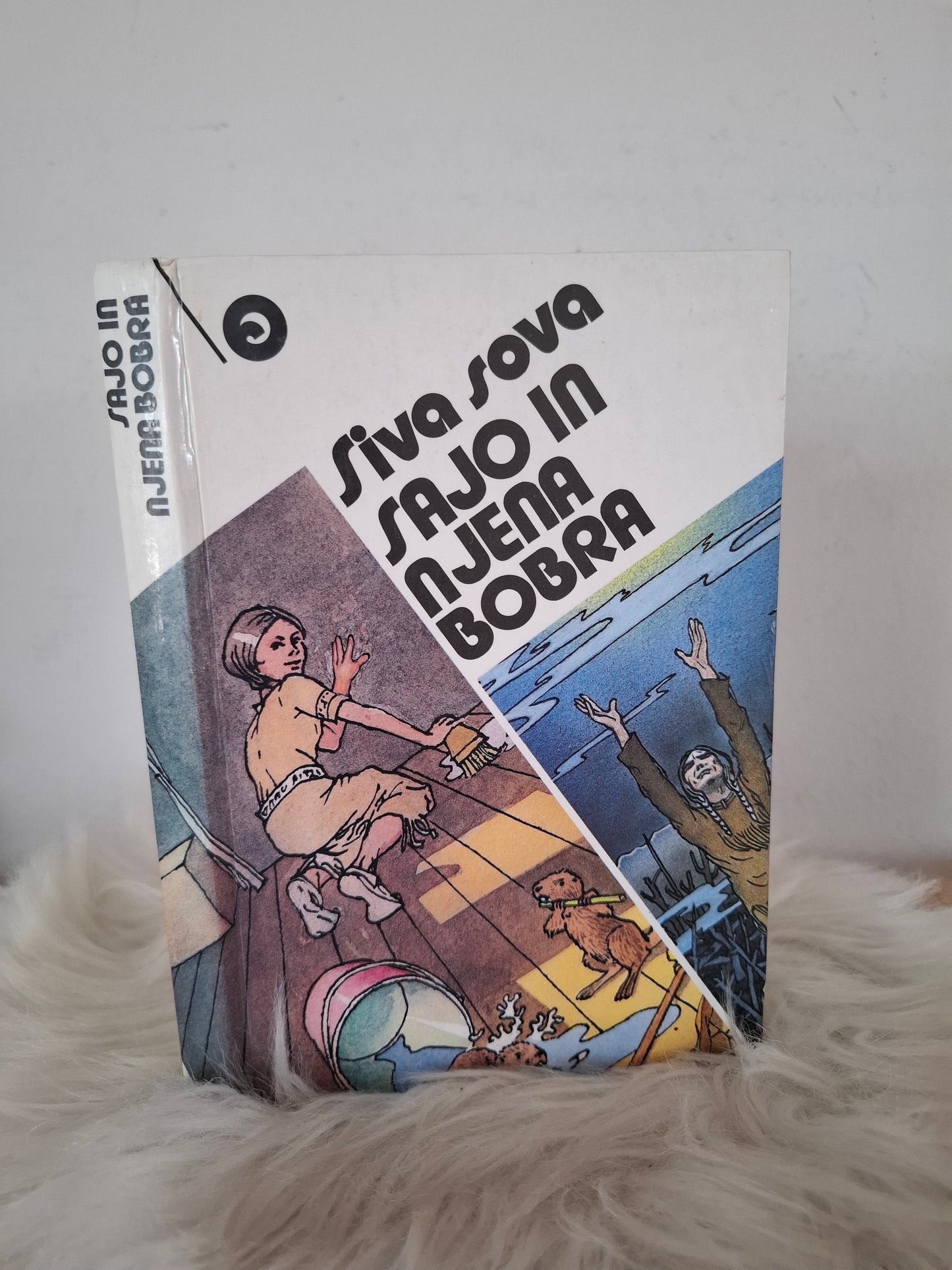 Sajo in njena bobra, Veša Kvonesin