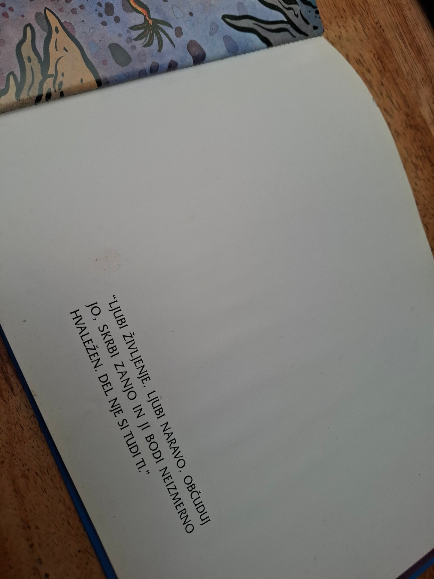 Proteusko, Jamski škrat, Andreja Novšak