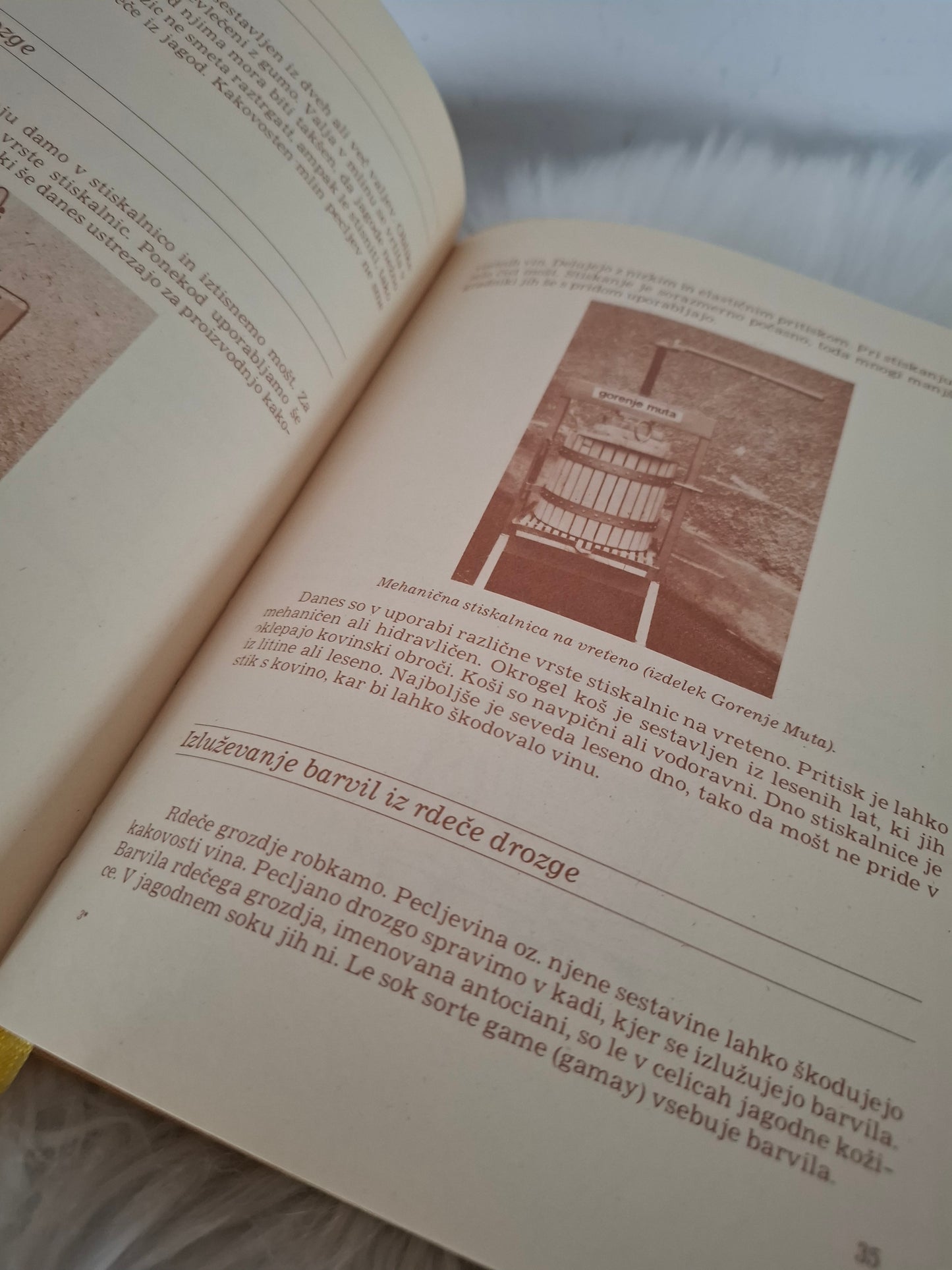 Ljubiteljsko kletarstvo,Anton Skaza.