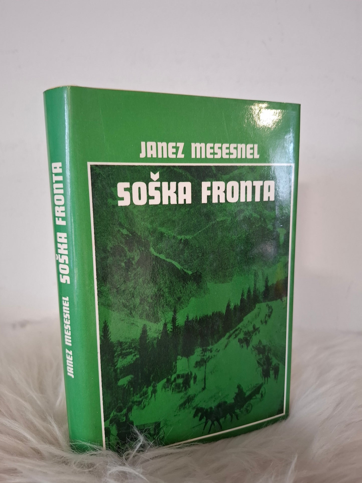 Soška fronta Janez Mesesnel