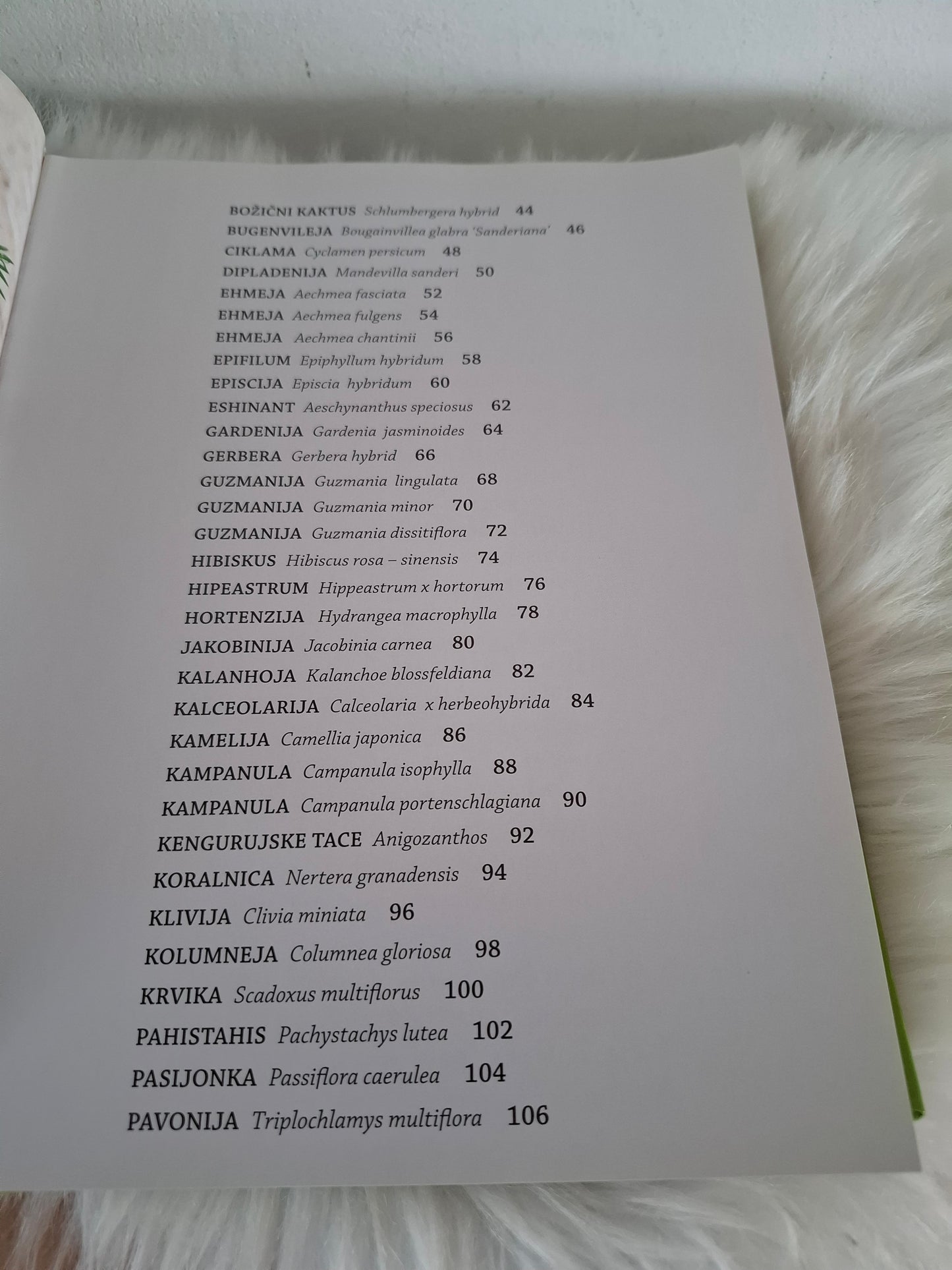 100 najlepših sobnih rastlin, Slavko Zgonec