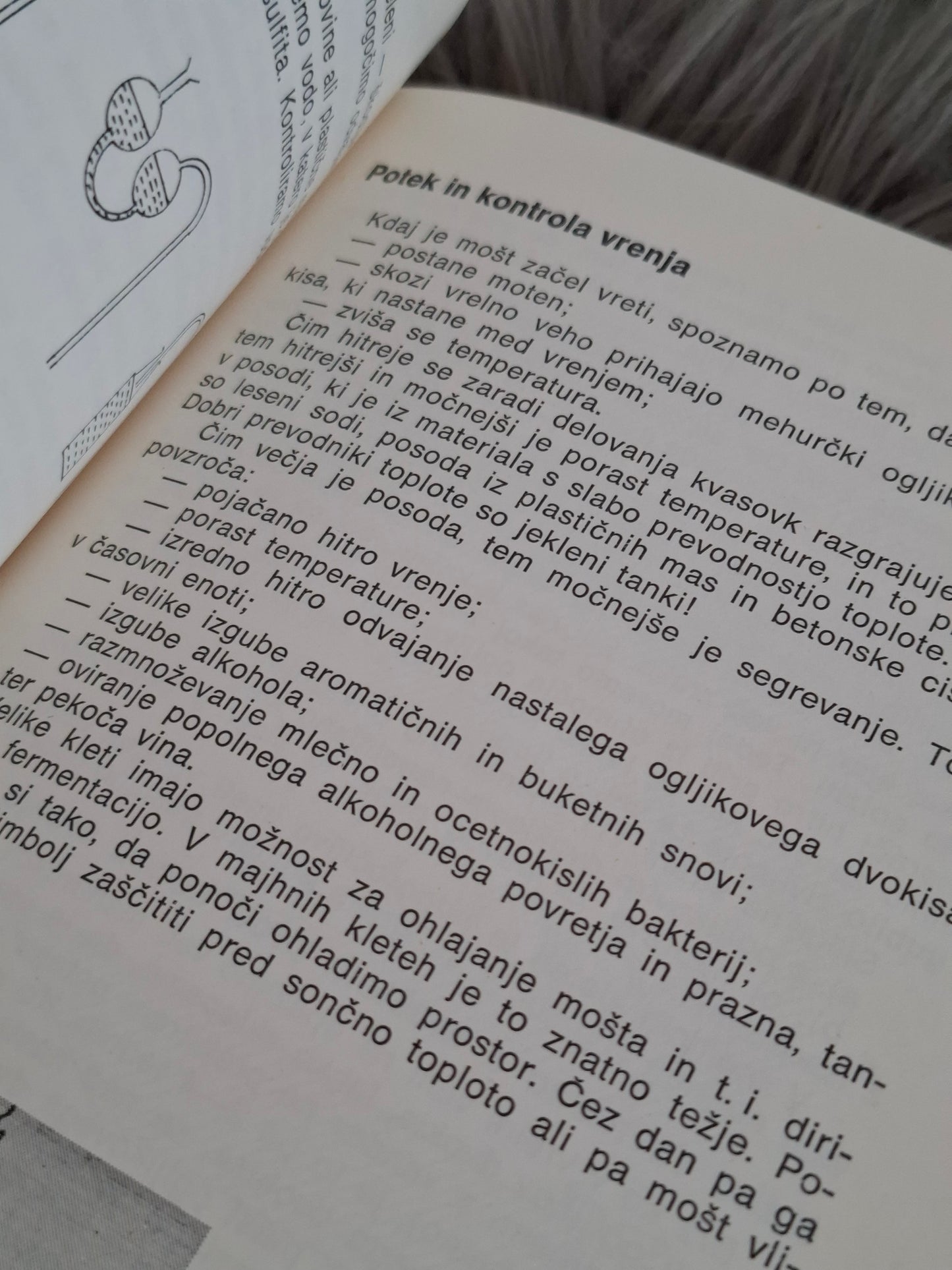 Sodobno kletarjenje Slavica Šikovec