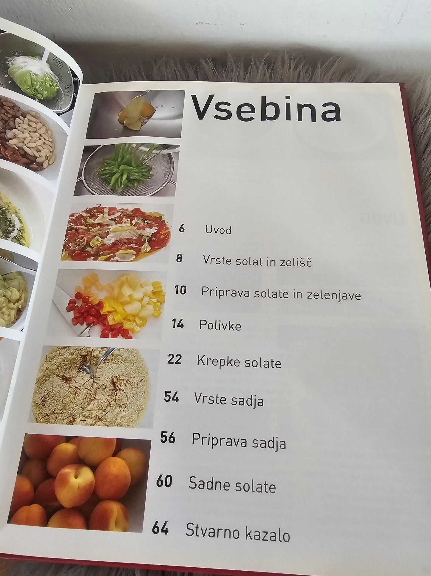 Zbirka kuharic: - Meso - Sladice, - Zelenjava, - Enolončnice, - Solate Učila