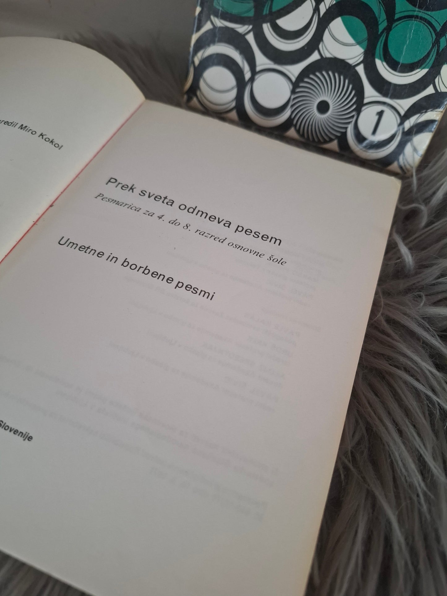 Prek sveta odmeva pesem Dzs