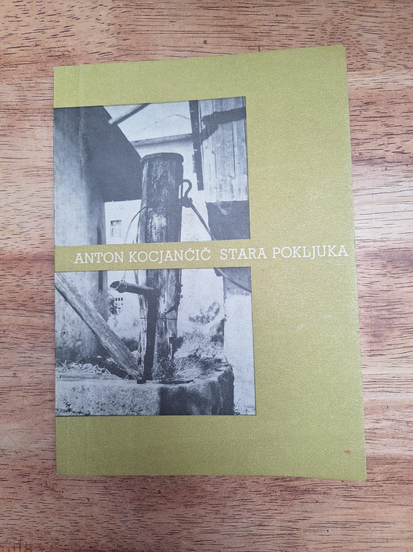 Stara Pokljuka Anton Kocjančič