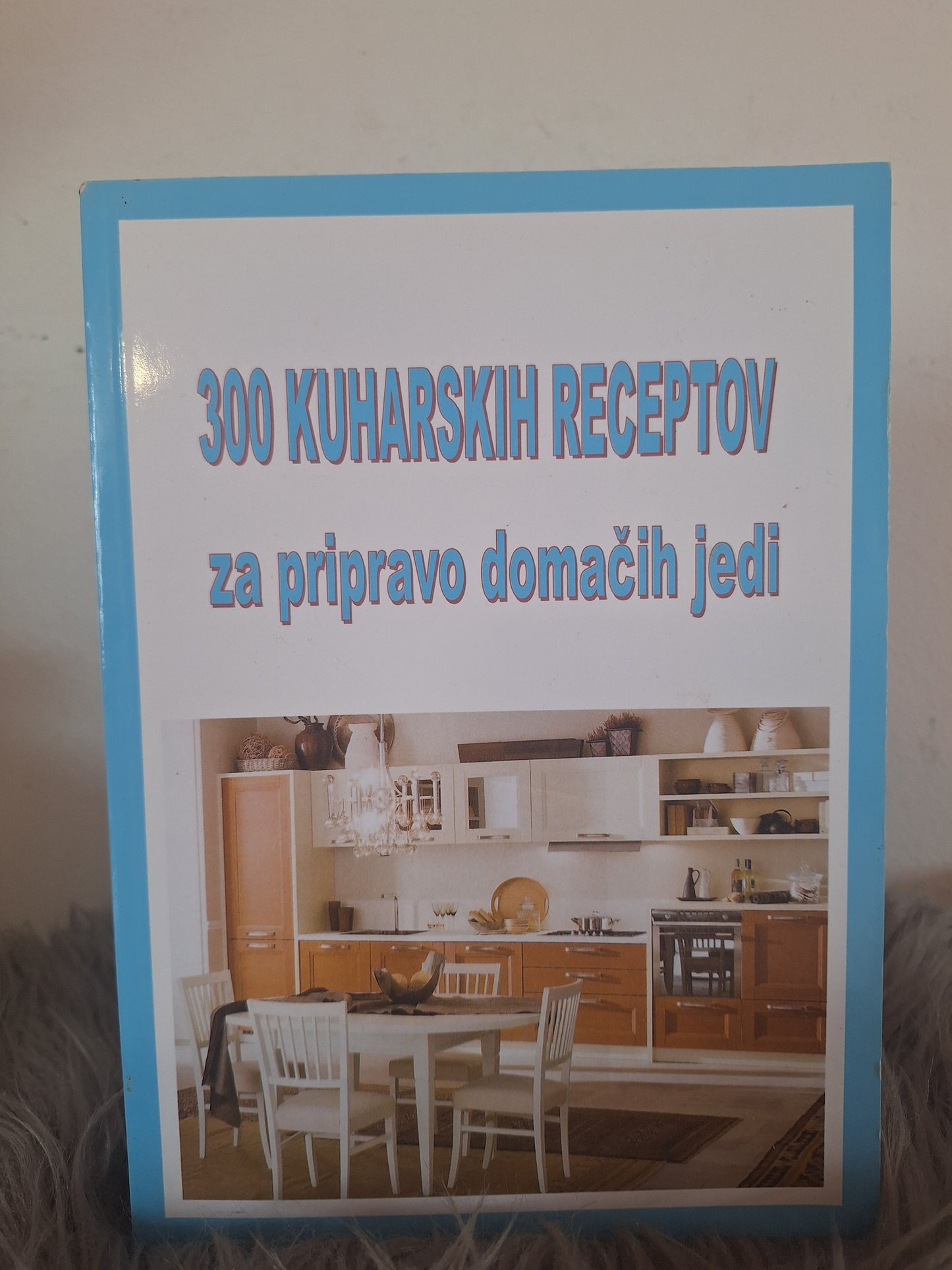 300 kuharskih receptov za pripravo domačih jedi Ilija Stanišič
