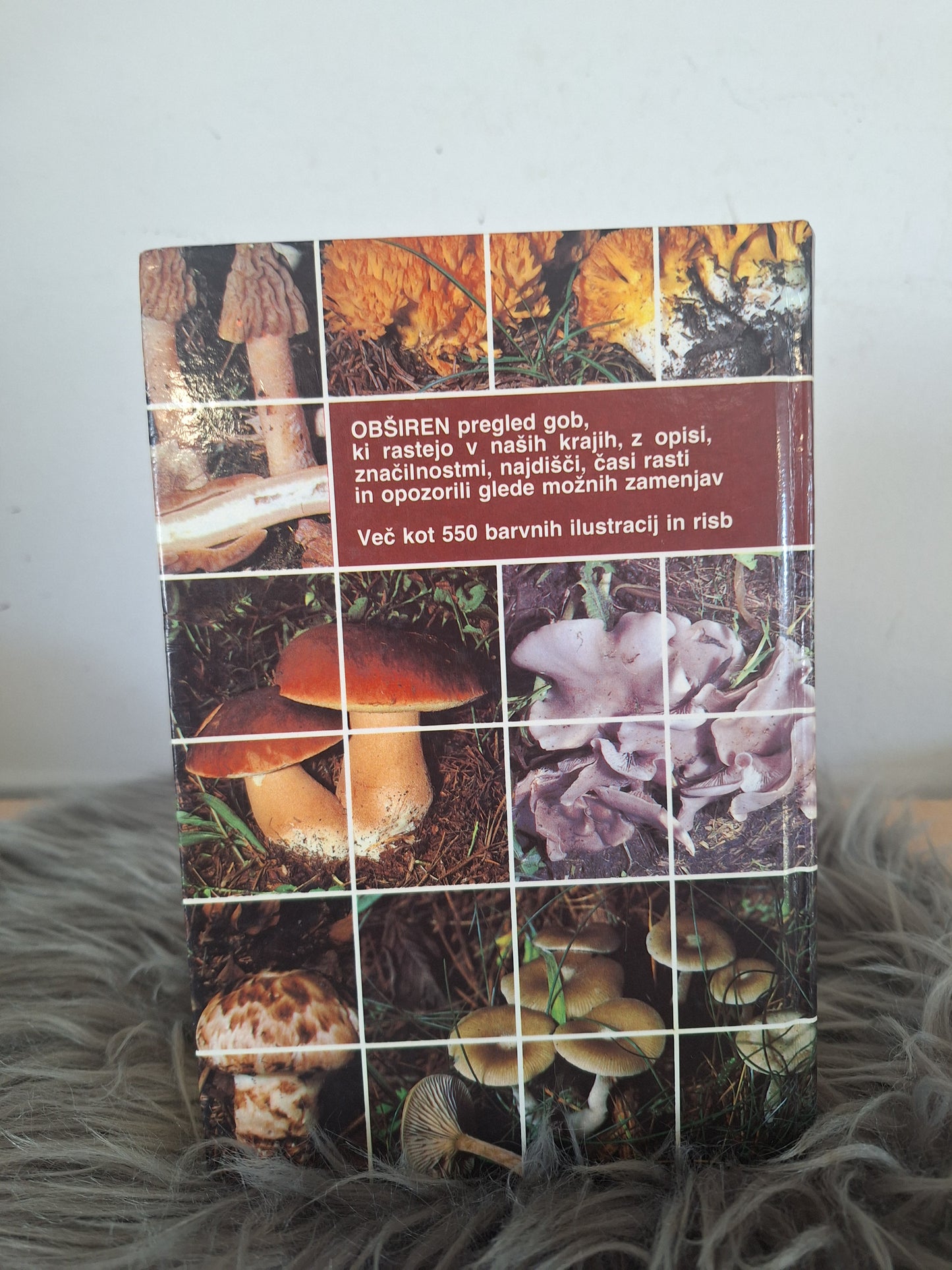 Naše gobje bogastvo Zlata Stropnik, Bogdan Tratnik, Gabriel Seljak