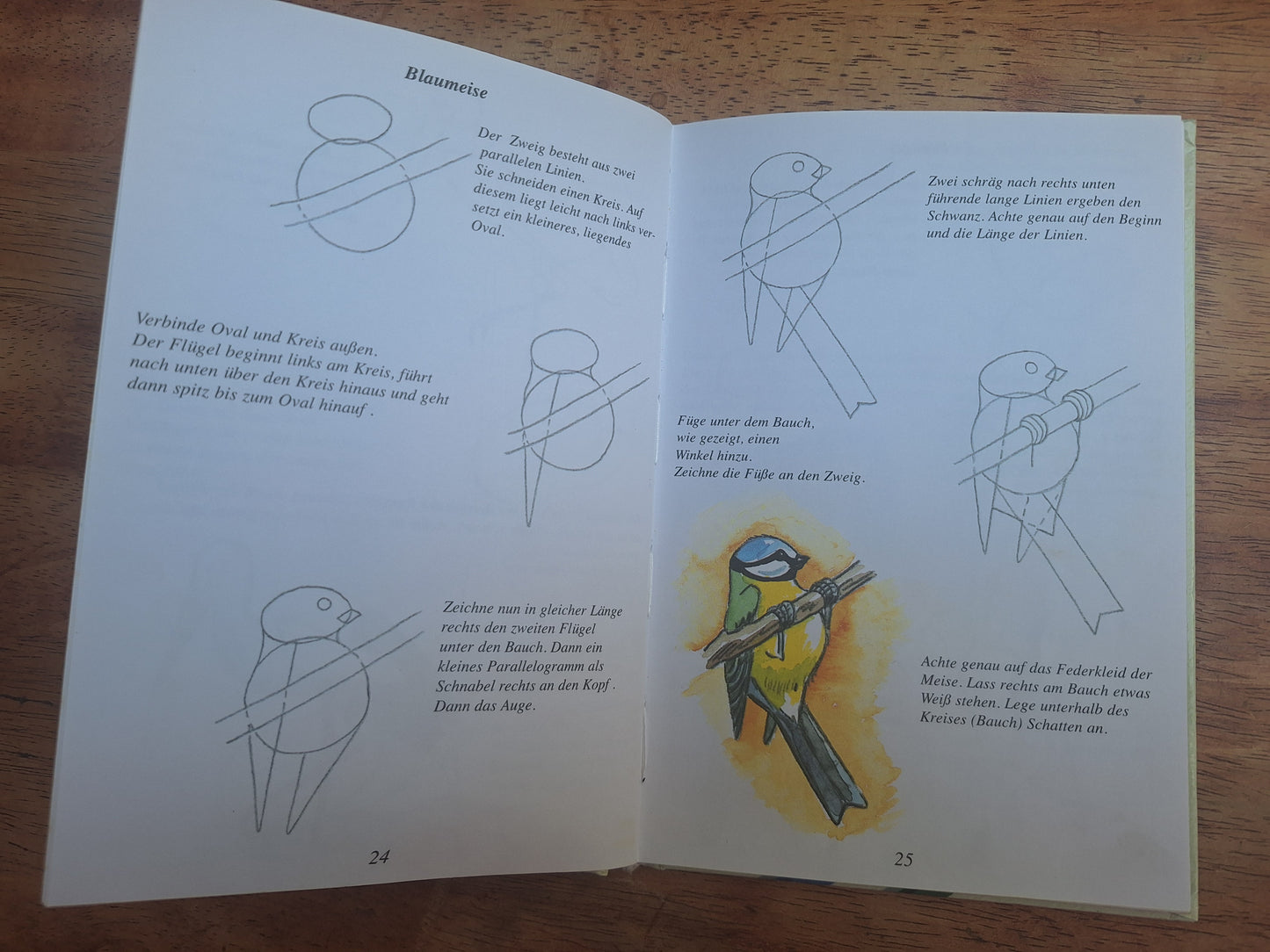 Zeichnen Norka Verlag