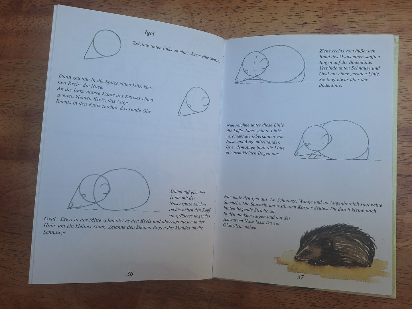 Zeichnen Norka Verlag