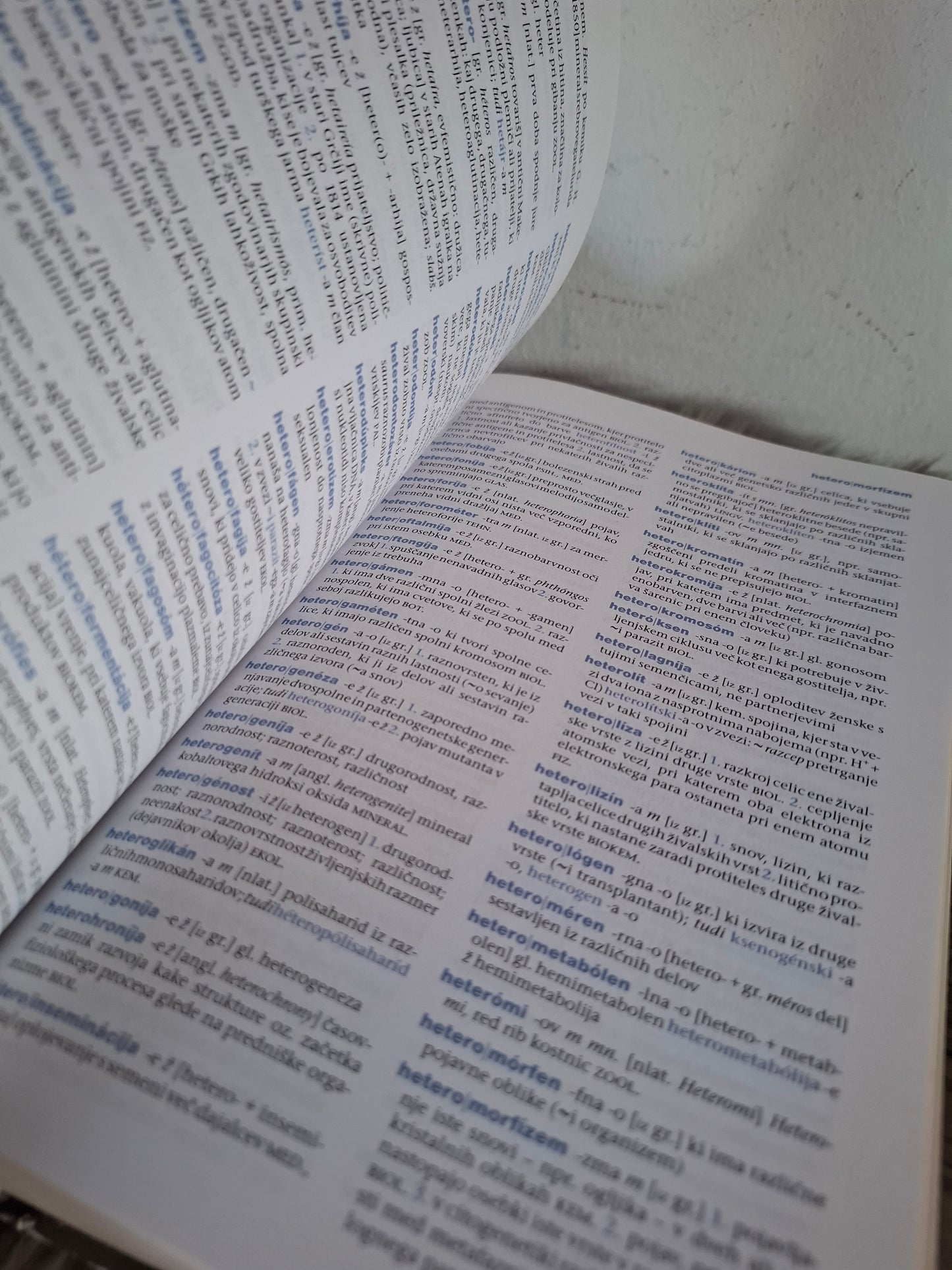 Veliki slovar tujk Cankarjeva založba Ljubljana