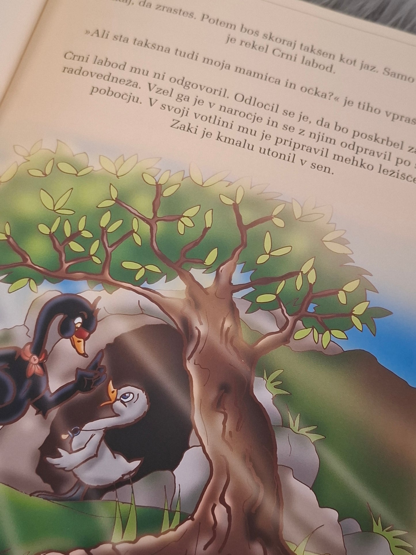 Labod Zaki najde starše Cvetka Bevc