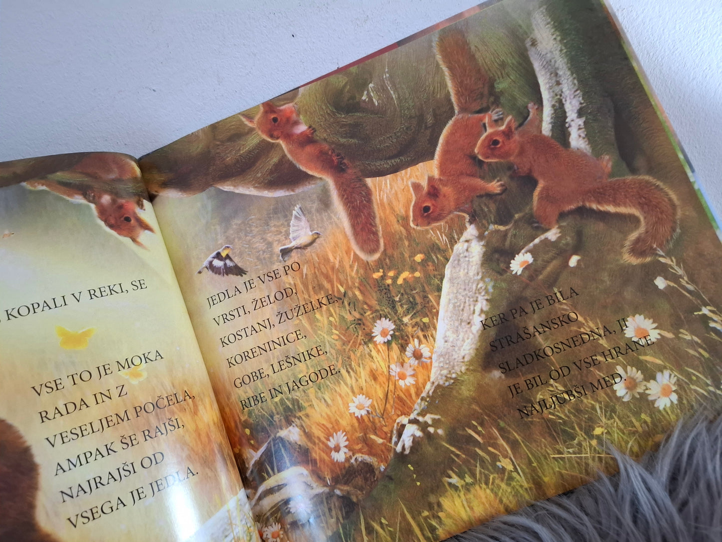 Rjavi medved in potrpežljivost Založba Grahovac