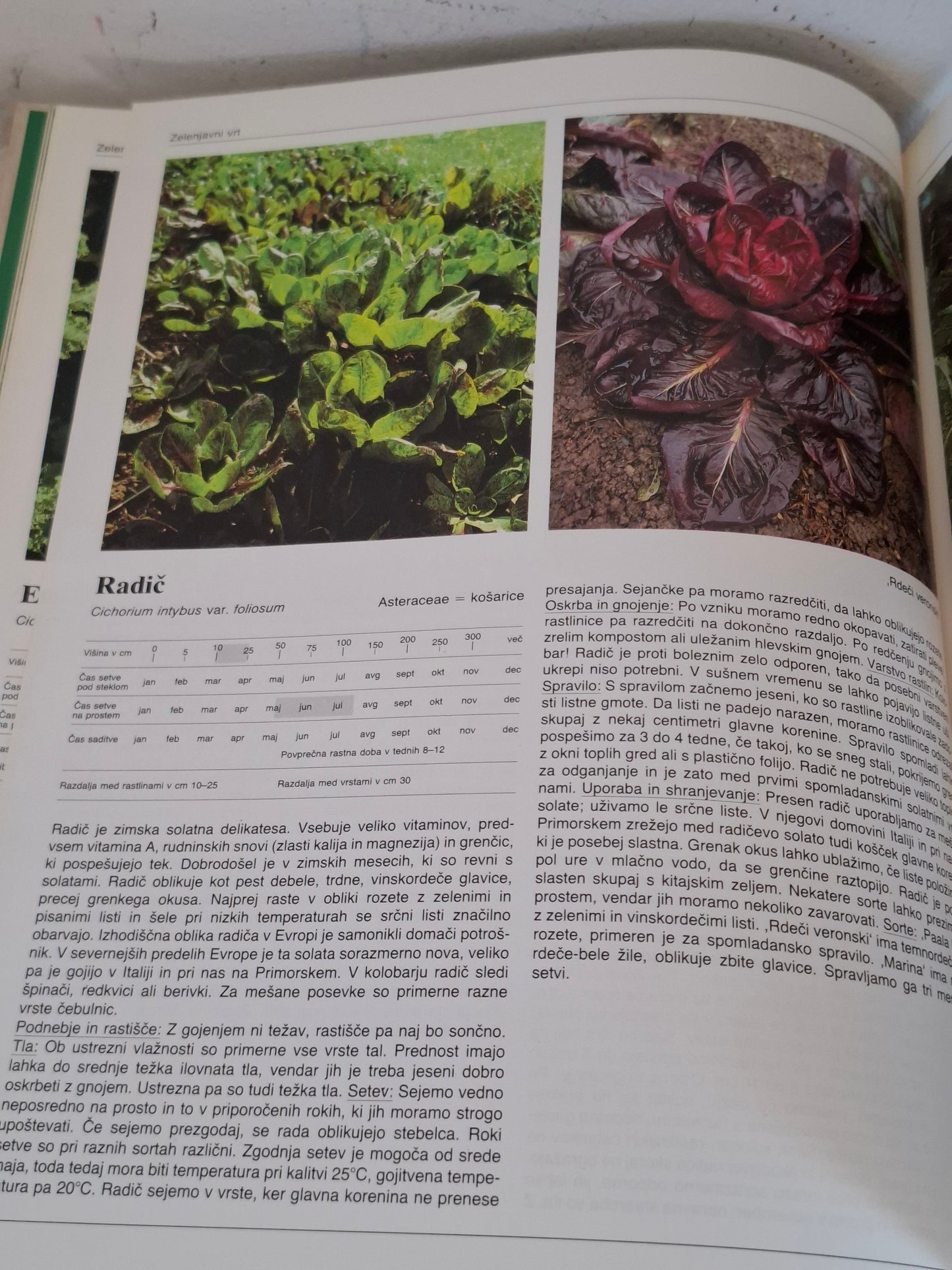 Uporabne rastline več avtorjev