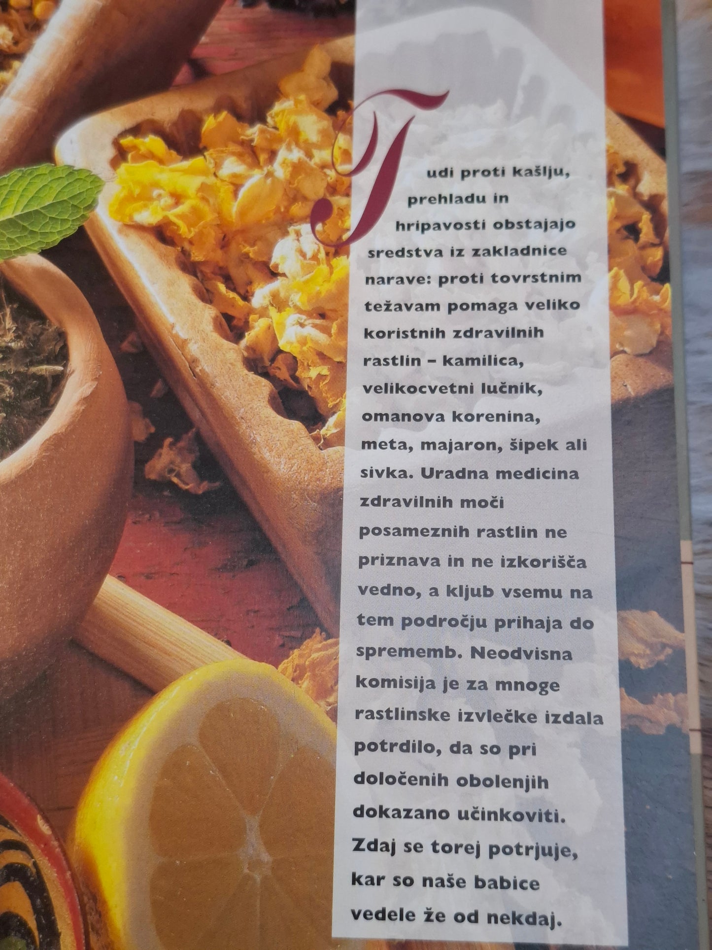 Babičini nasveti za dom več avtorjev