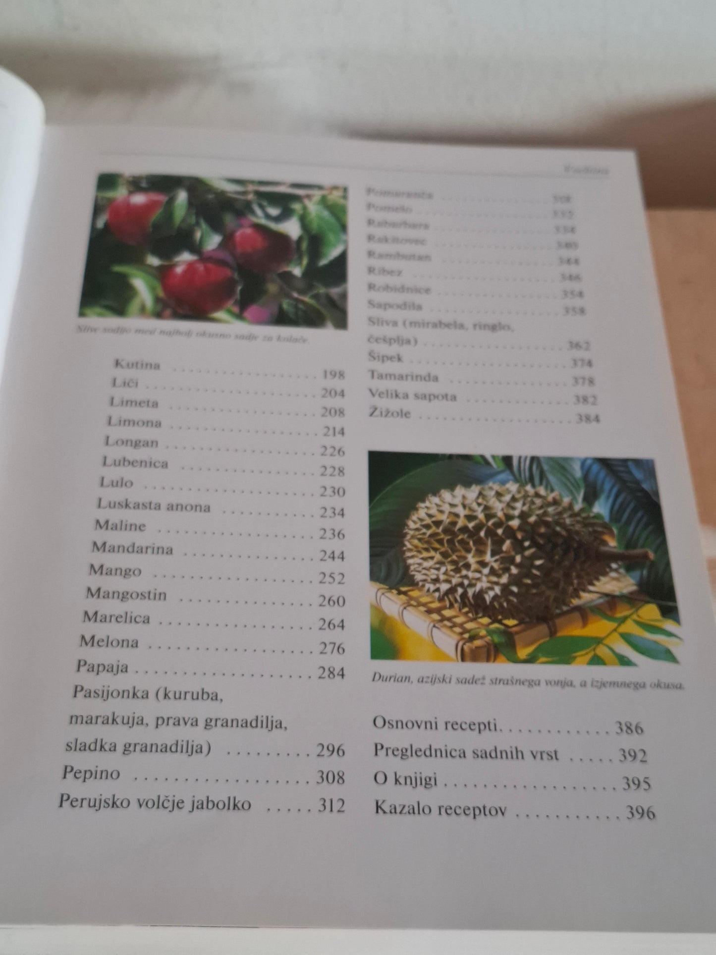 Sadje za zdravje in prehrano Brigitte Kranz