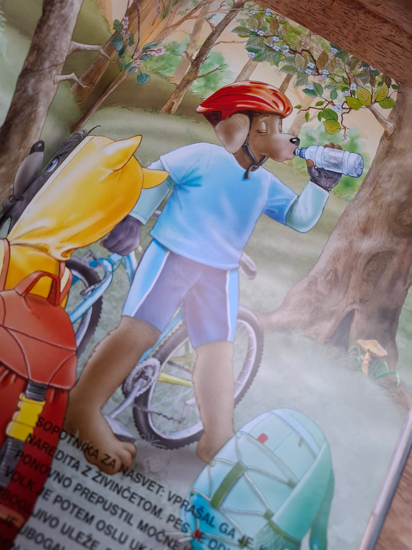 Najlepše zgodbe iz gozda Založba Grahovac