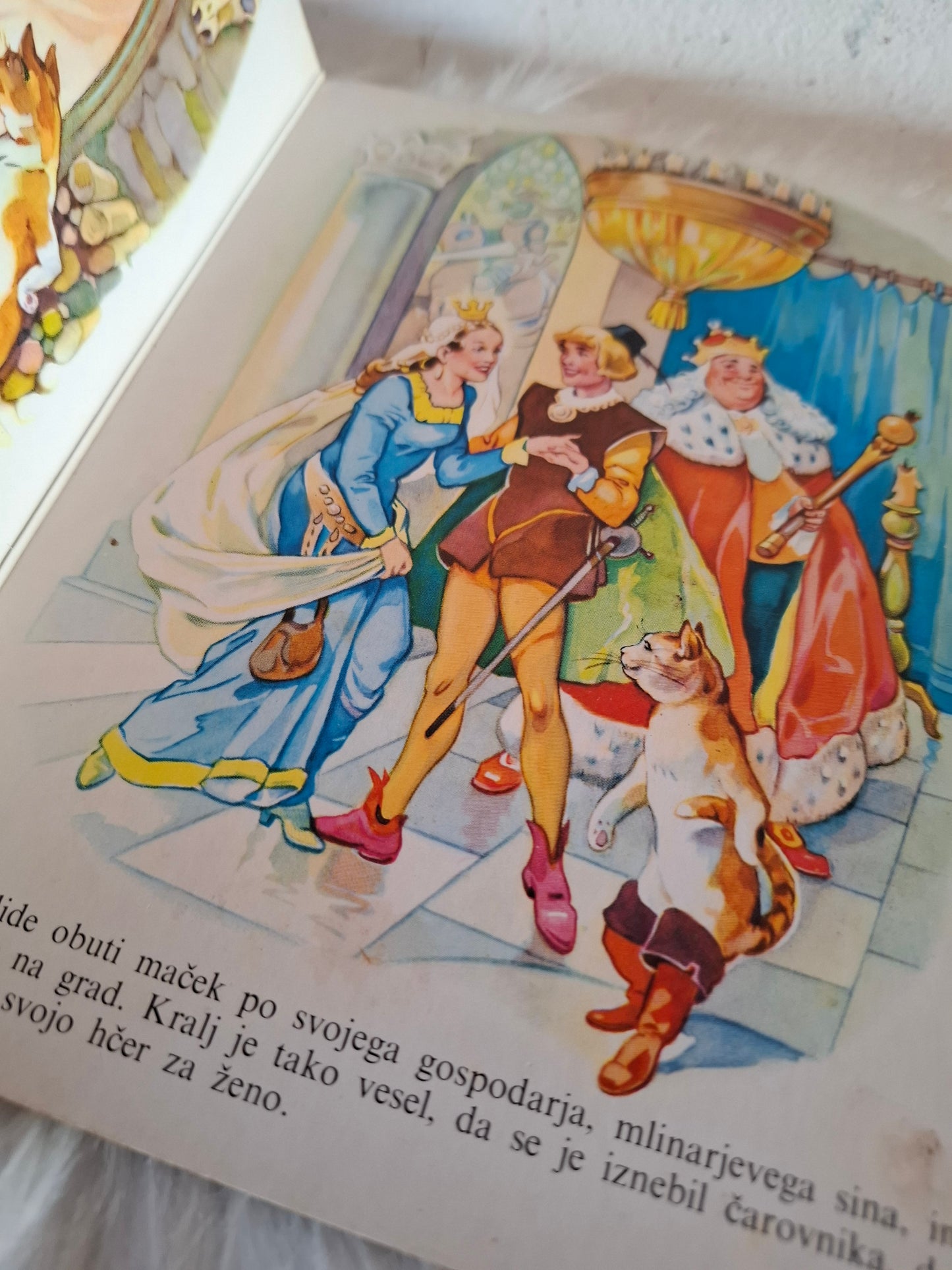 Obuti Maček Janko Moder