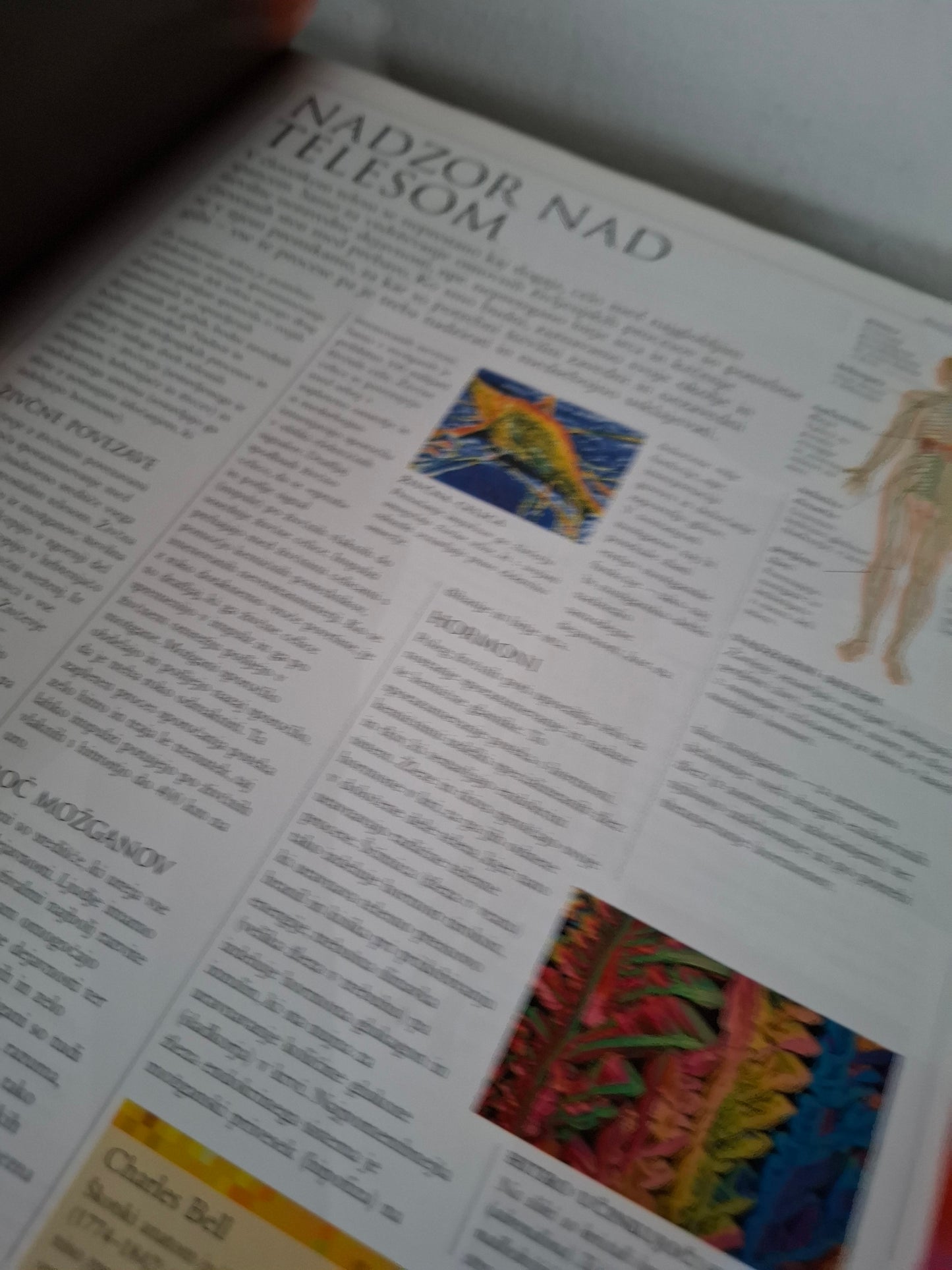 Velika ilustrirana enciklopedija Človek Mladinska knjiga