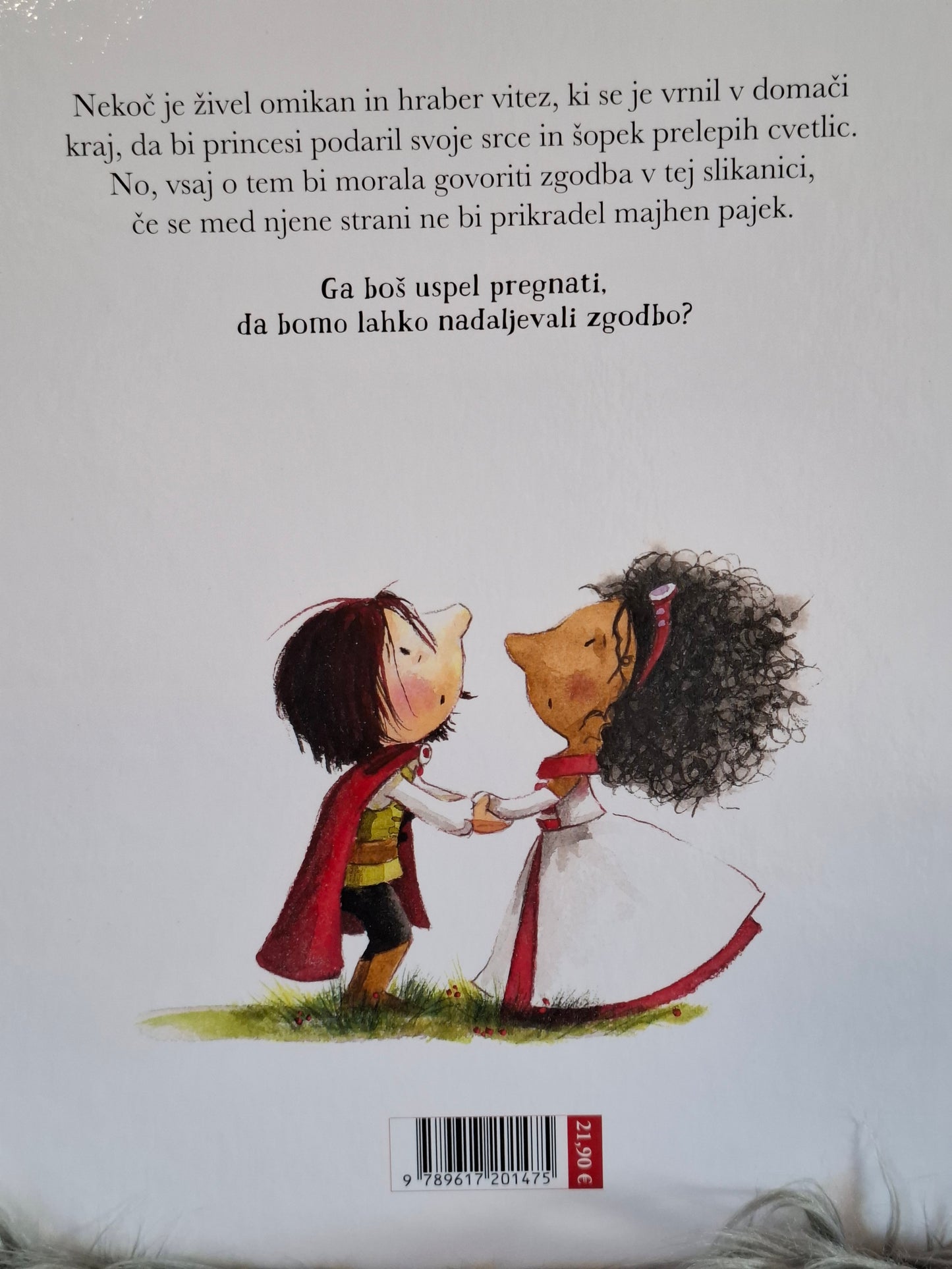 Princesa, vitez in pajek, Vincent Guigue