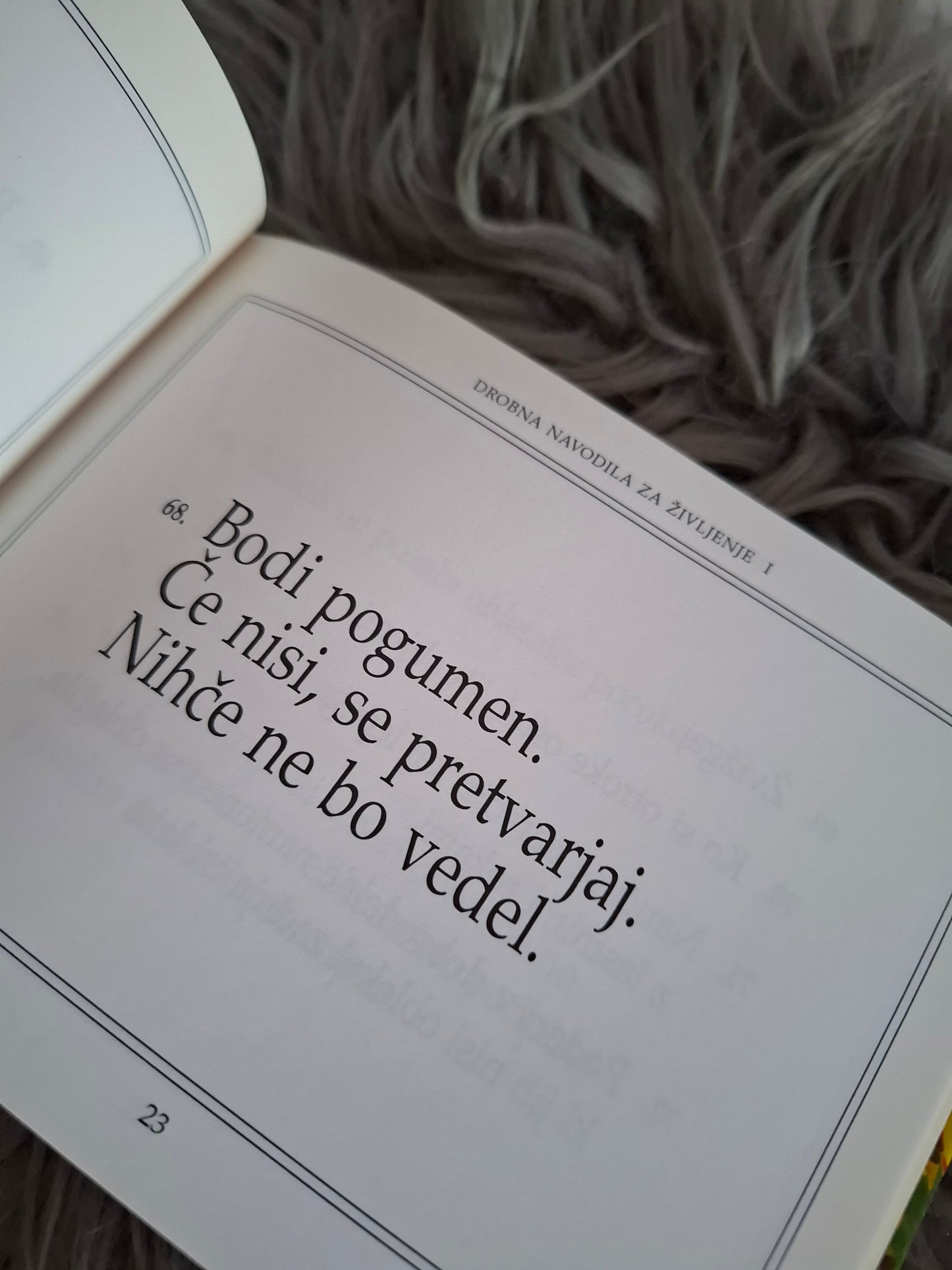 Drobna navodila za življenje H.Jackson Brown
