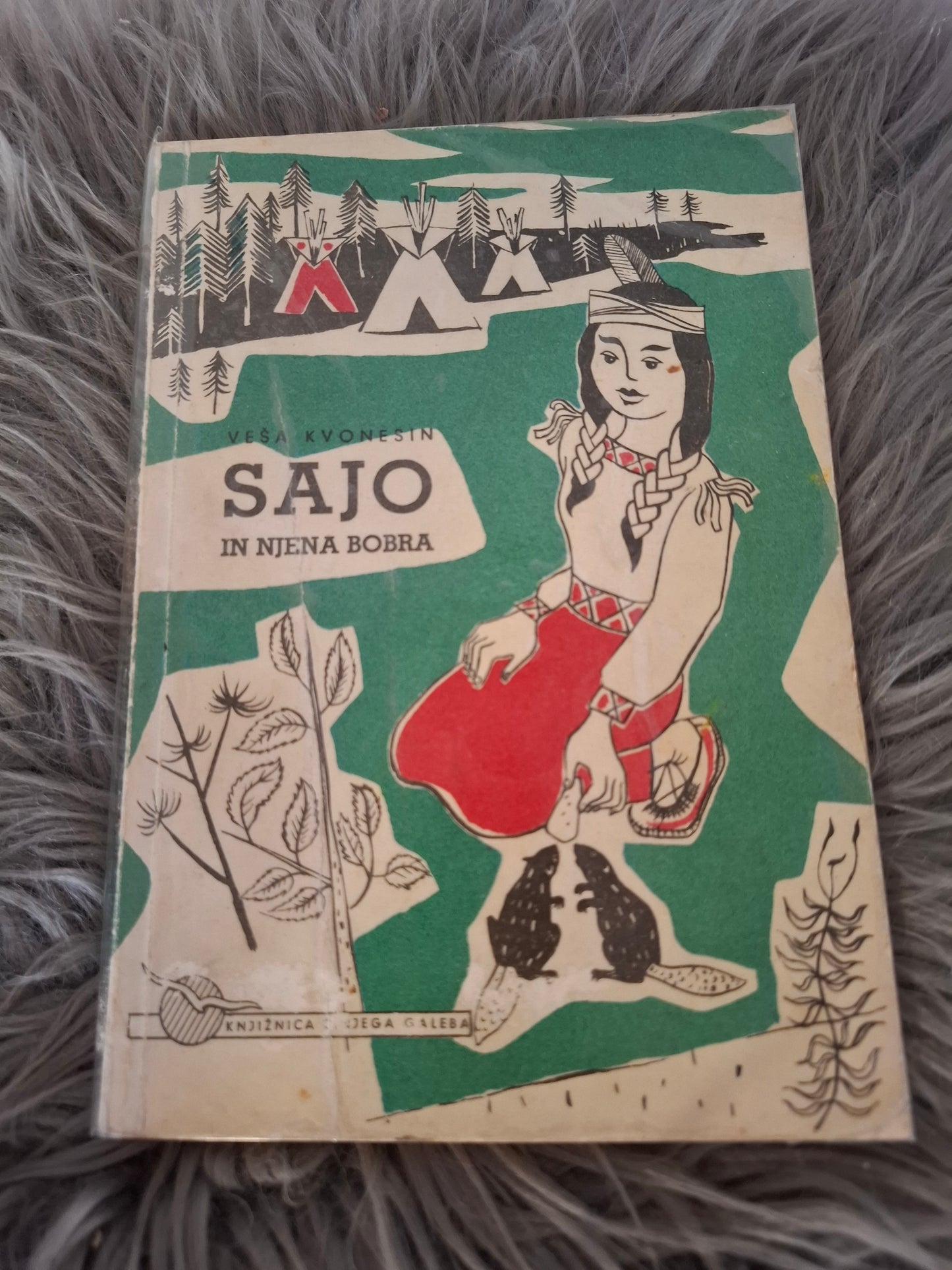 Sajo in njena bobra Veša Kvonesin