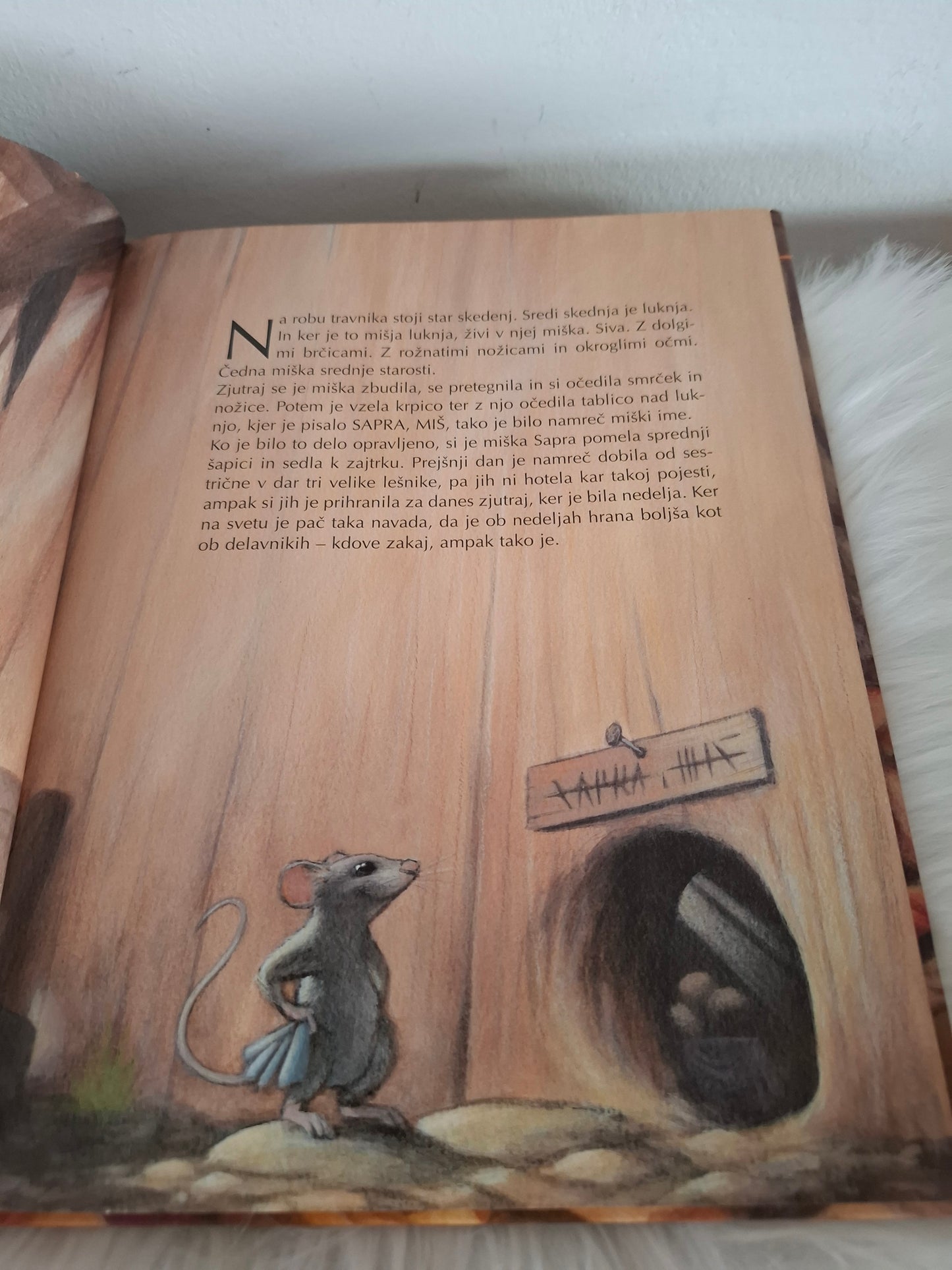 Sapramiška Svetlana Makarovič
