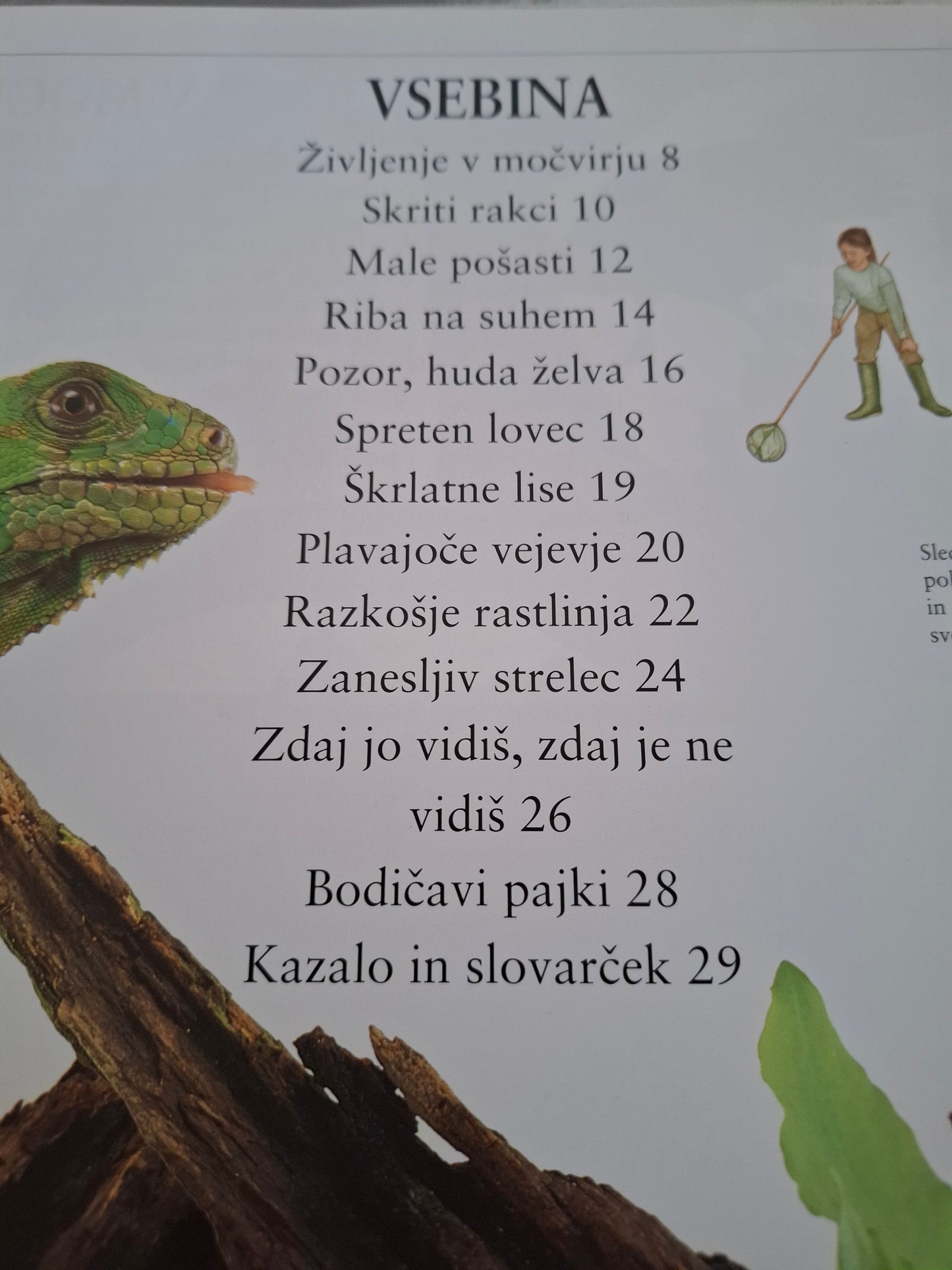 Življenje v močvirju, močvirski svet pod drobnogledom Theresa Greenaway