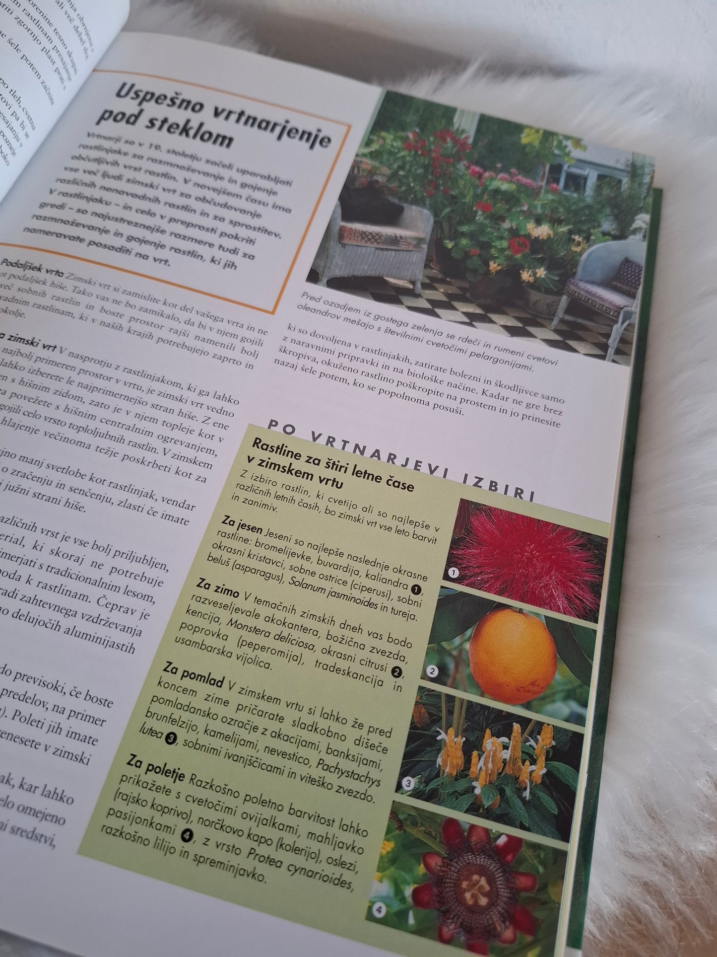 Dedkovi vrtnarski nasveti Readers Digest