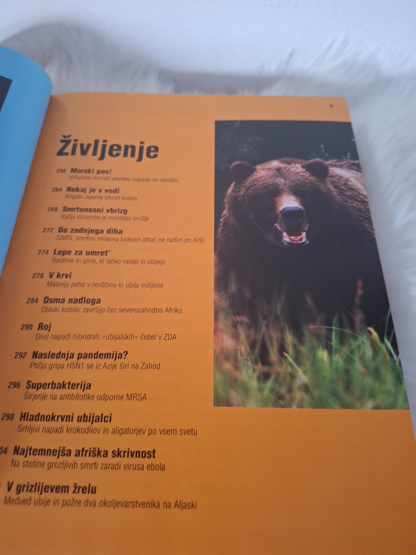 Narava vrača udarec Mladinska knjiga