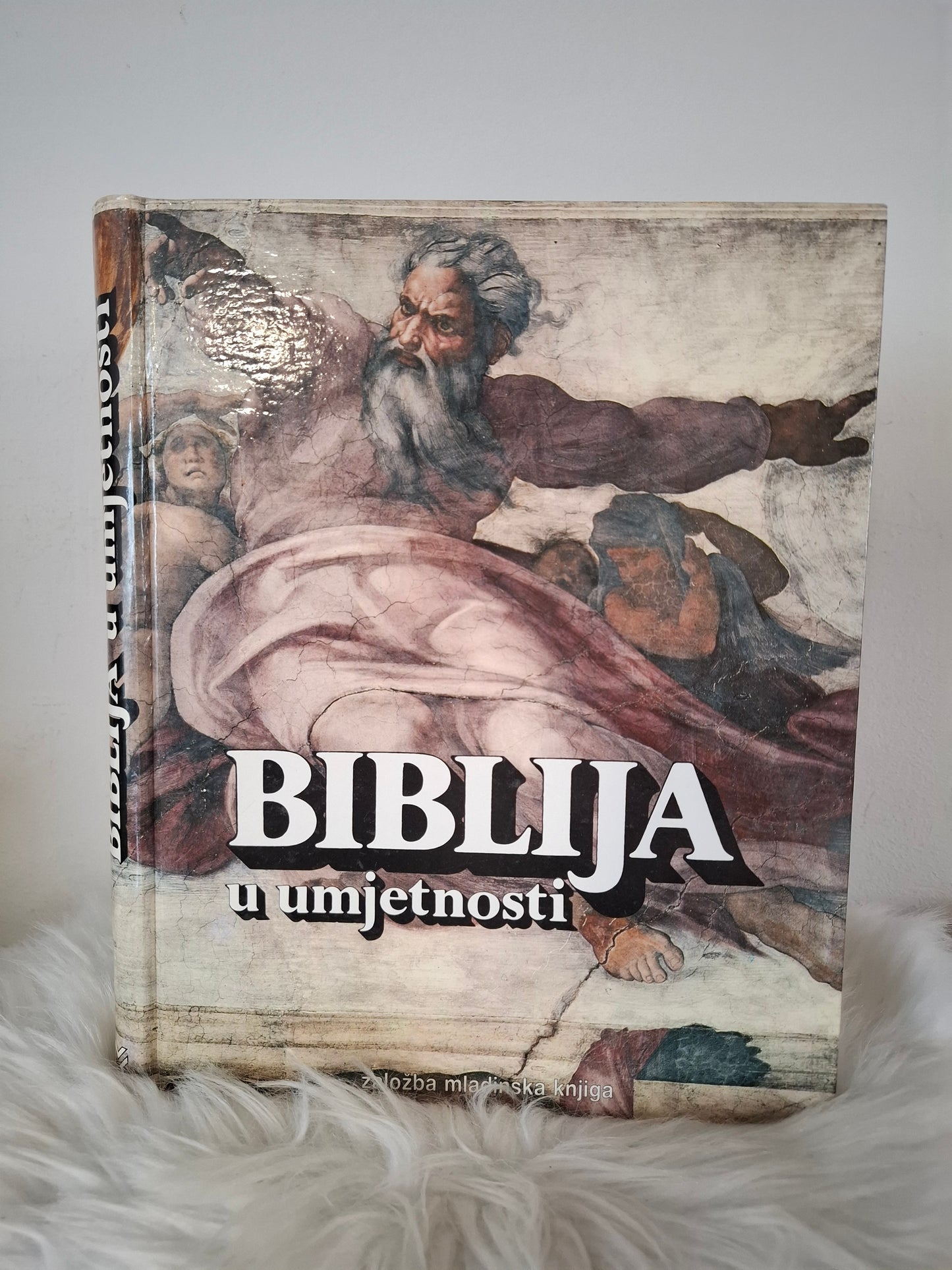 Biblioja u umetnosti Založba Mladinska knjiga