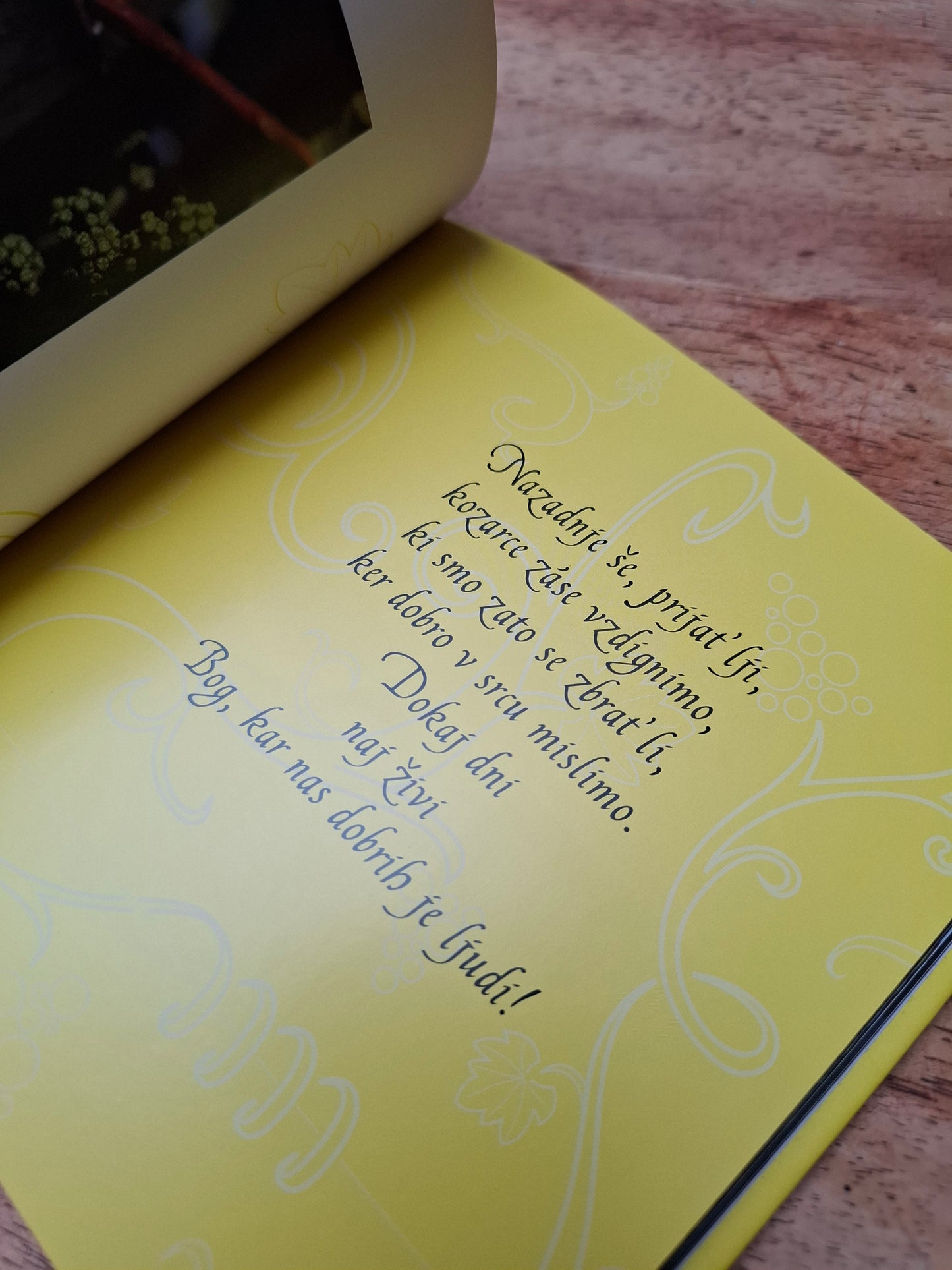 Spet trte so rodile Ciril Ambrož